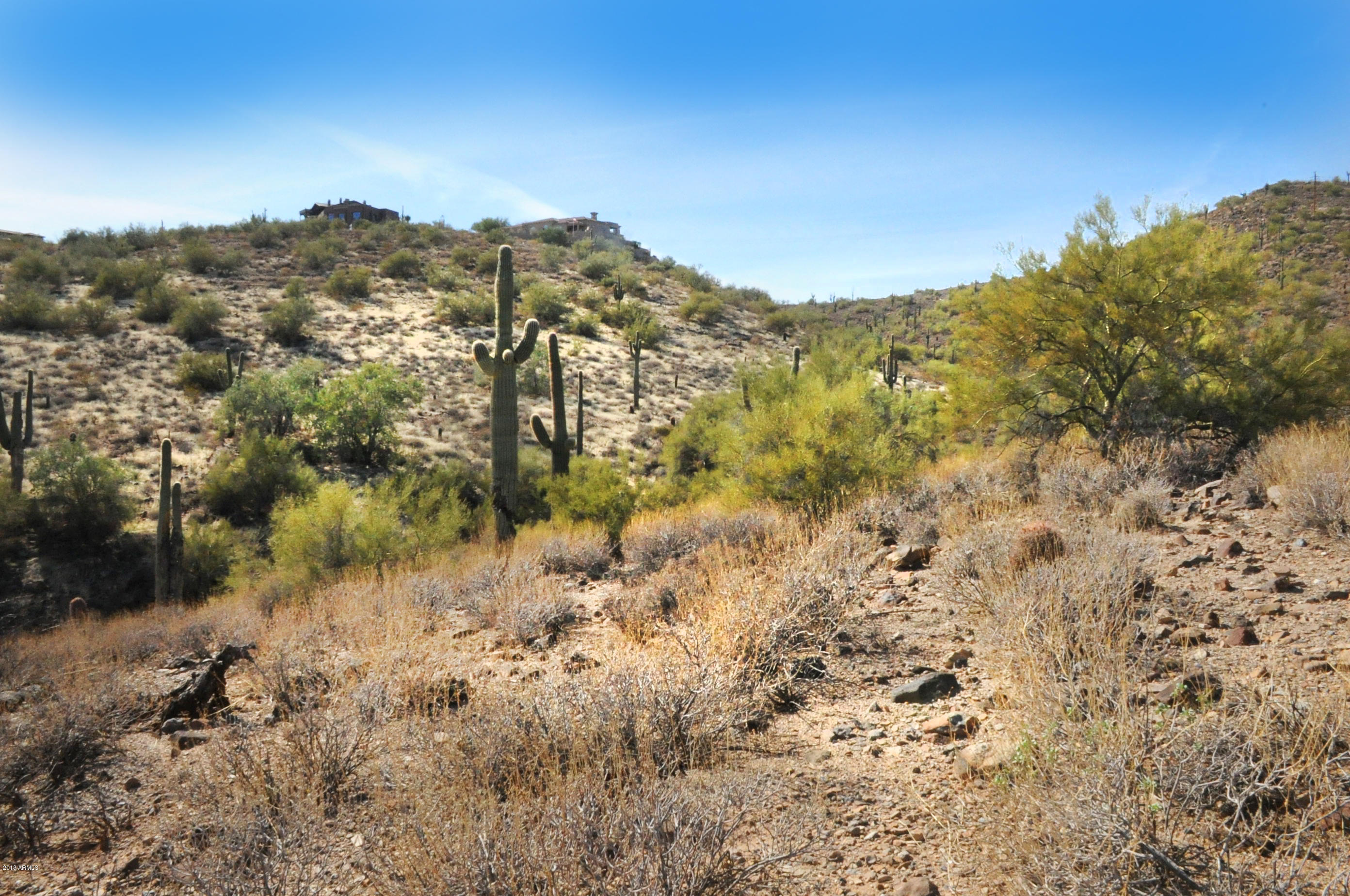 11664 N Sunset Vista Drive Property Photo 2
