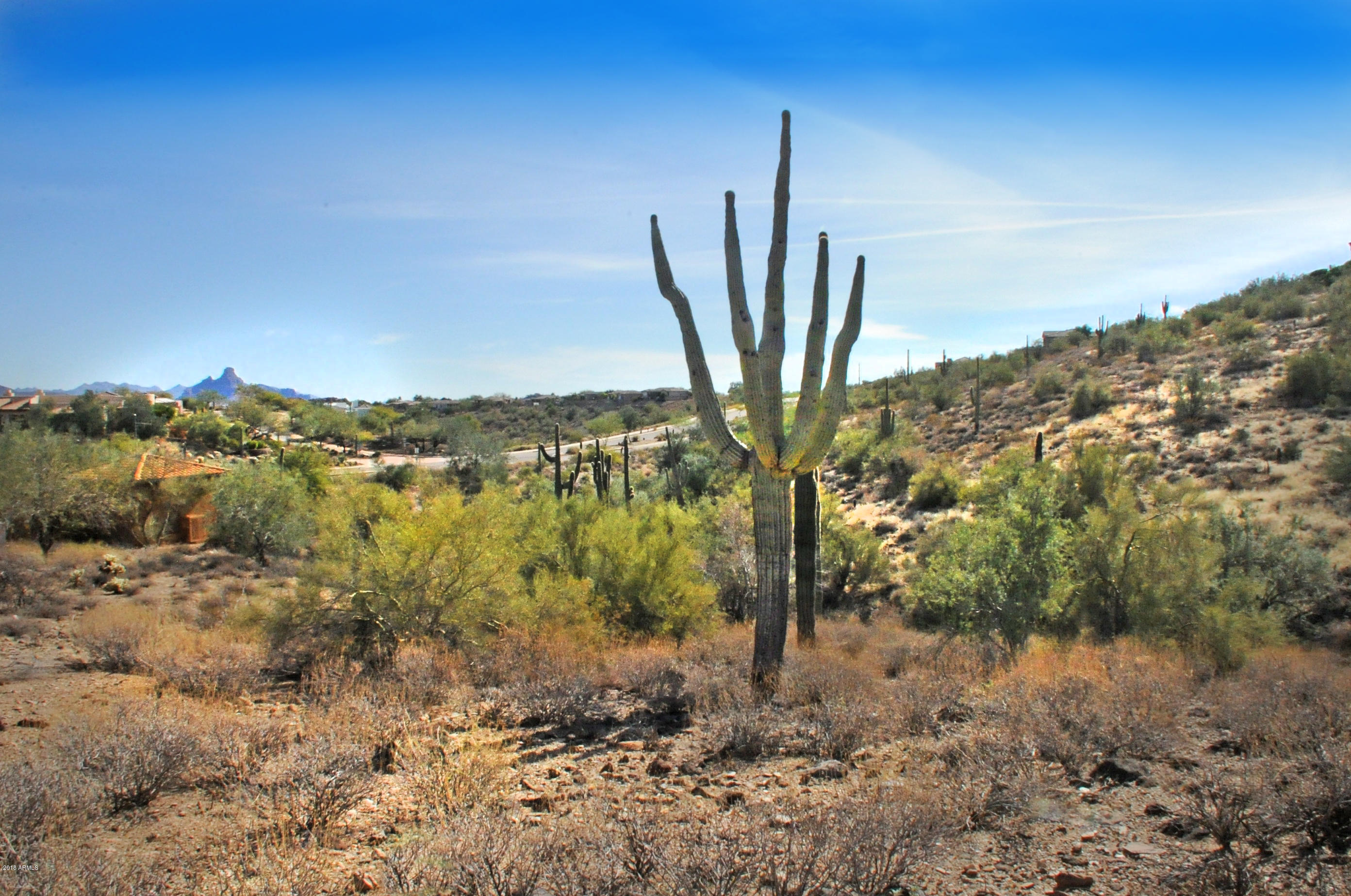 11664 N Sunset Vista Drive Property Photo 3