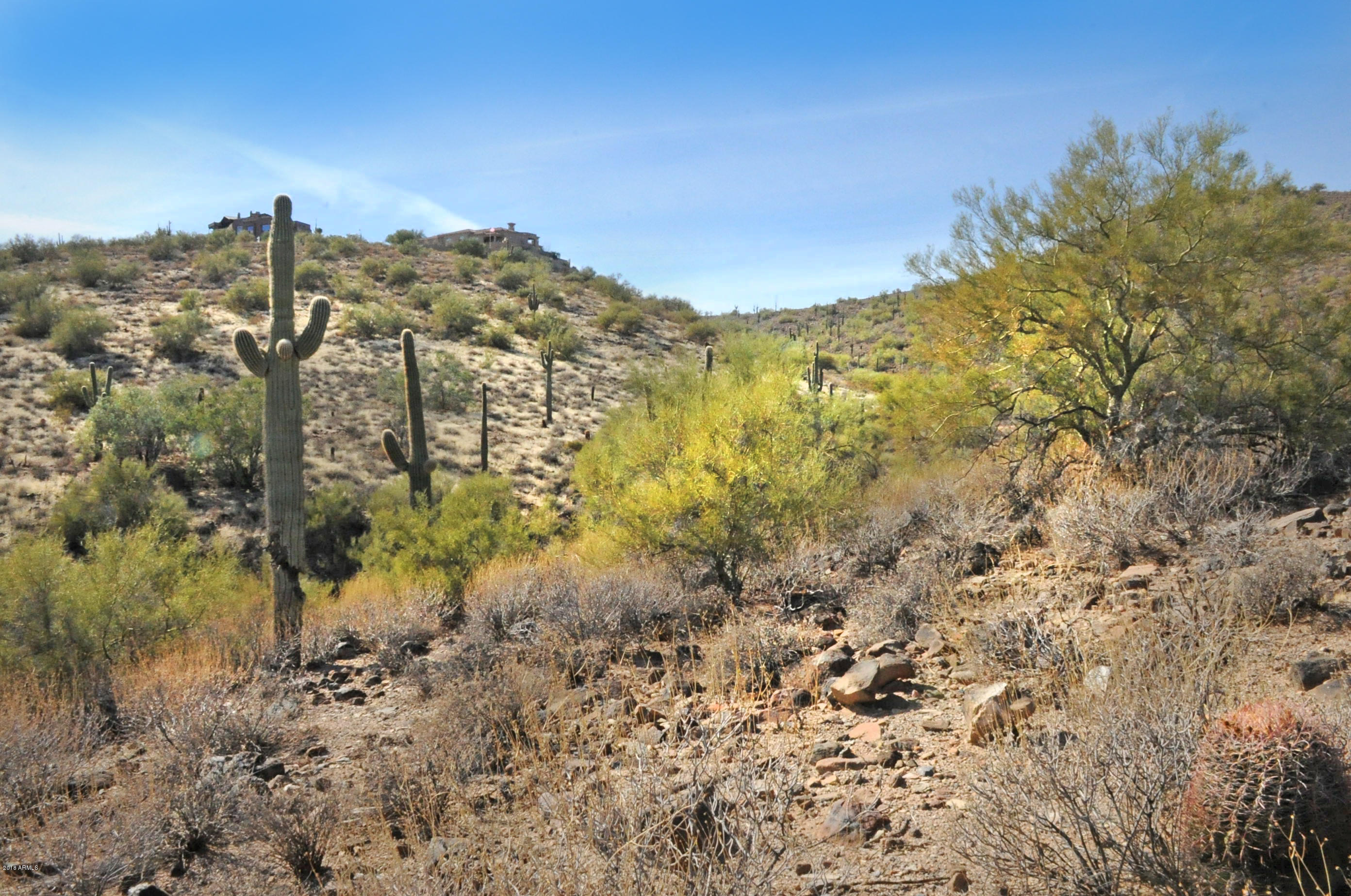 11664 N Sunset Vista Drive Property Photo 4