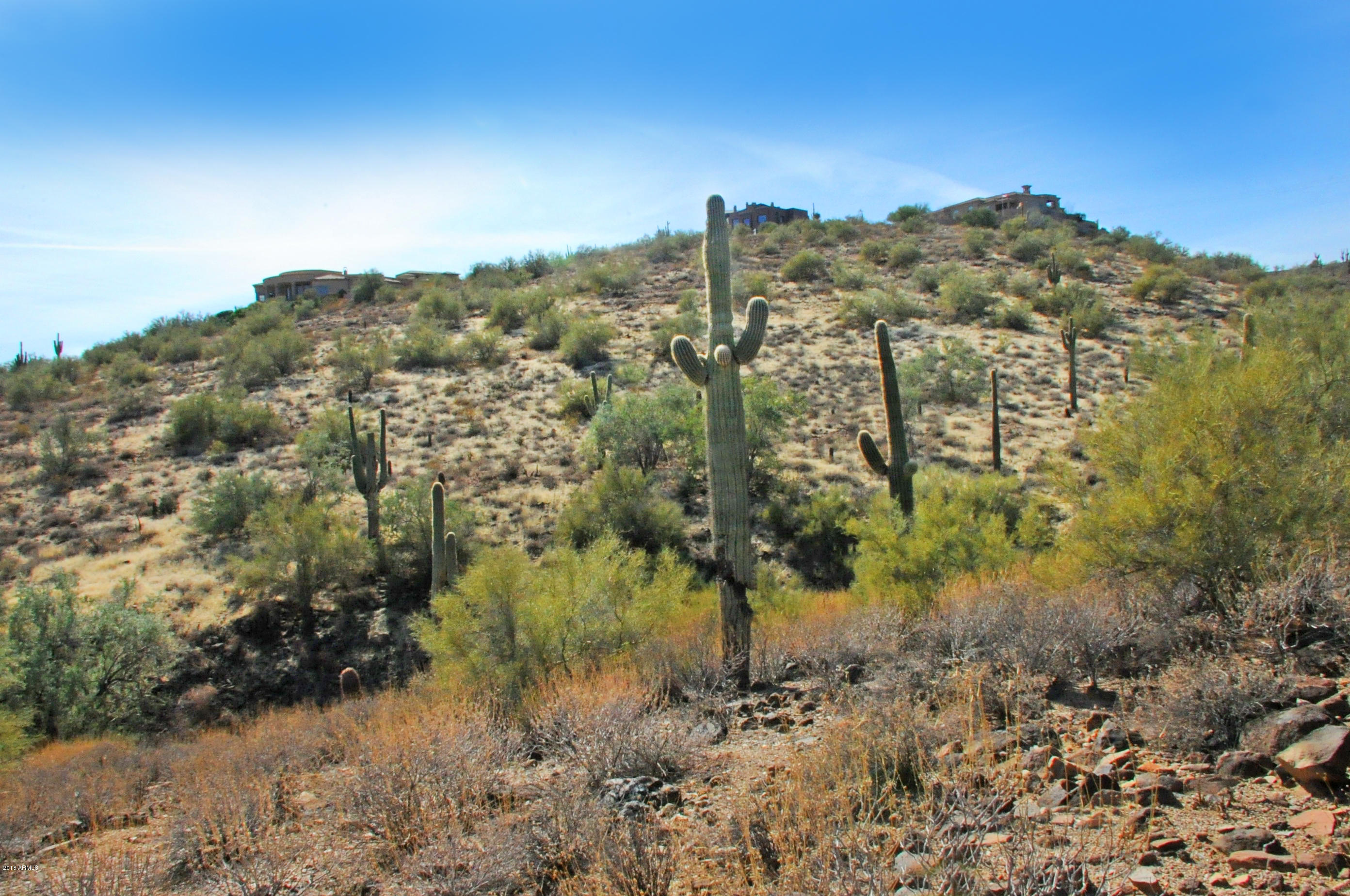 11664 N Sunset Vista Drive Property Photo 6
