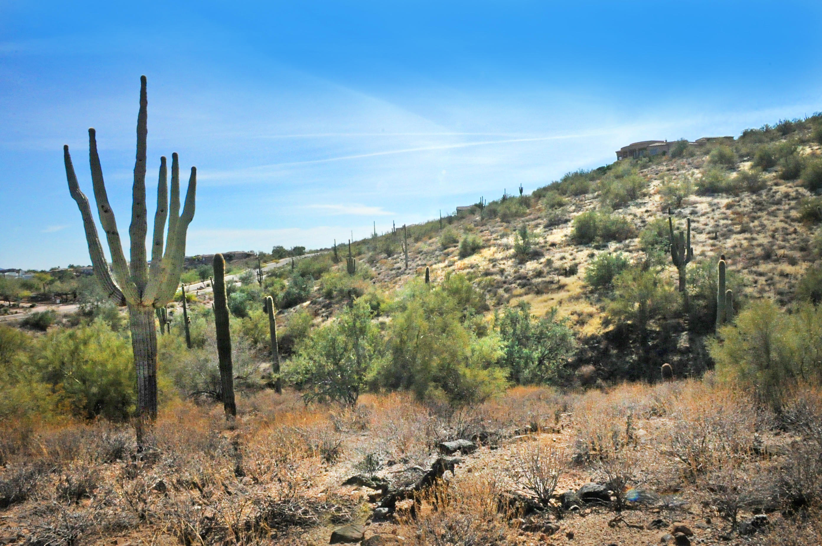 11664 N Sunset Vista Drive Property Photo 7