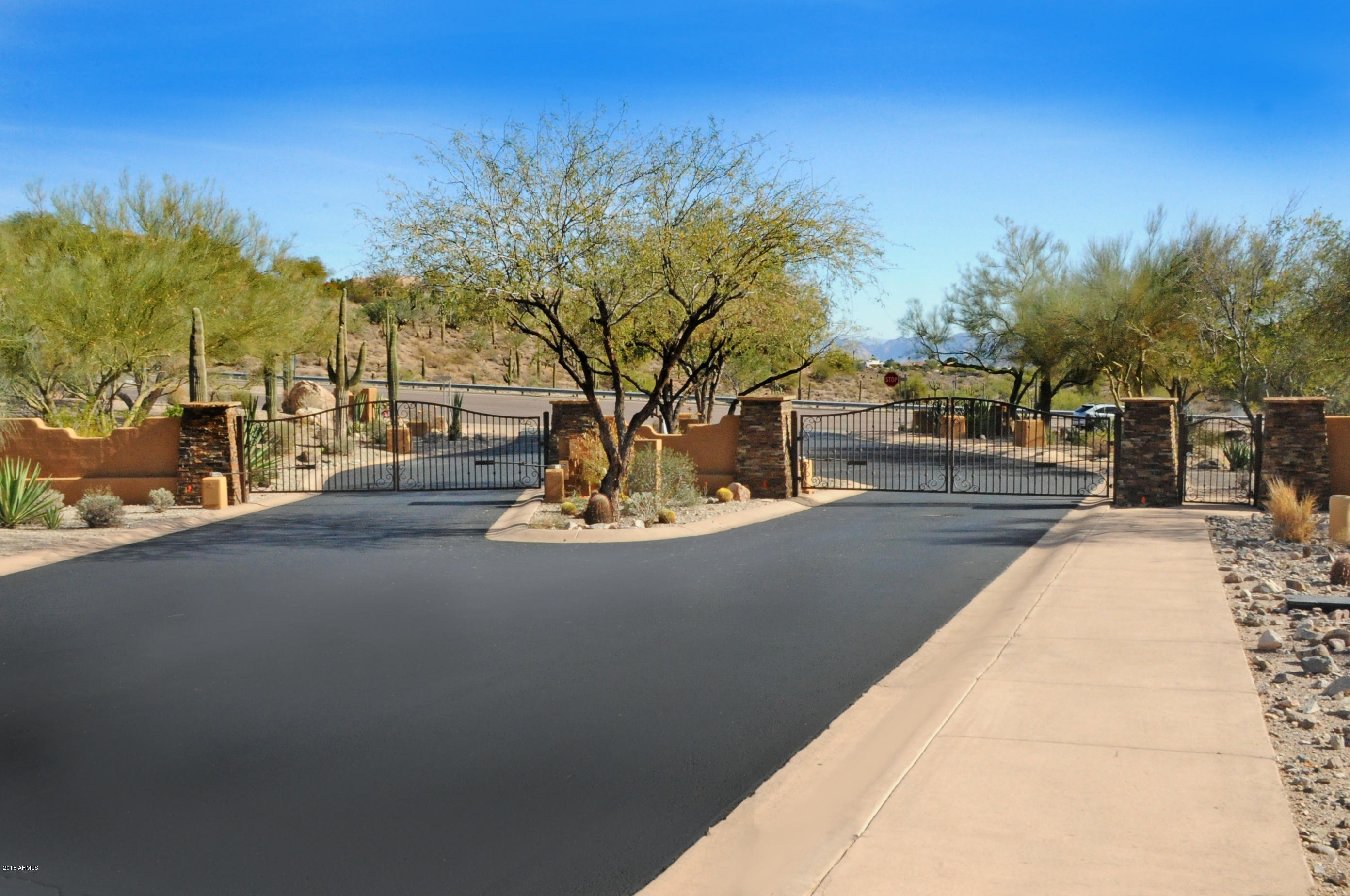 11664 N Sunset Vista Drive Property Photo 9