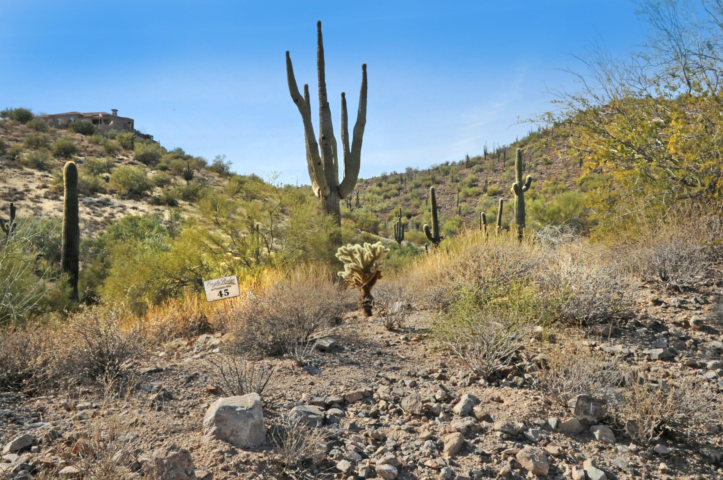 11664 N Sunset Vista Drive Property Photo 10