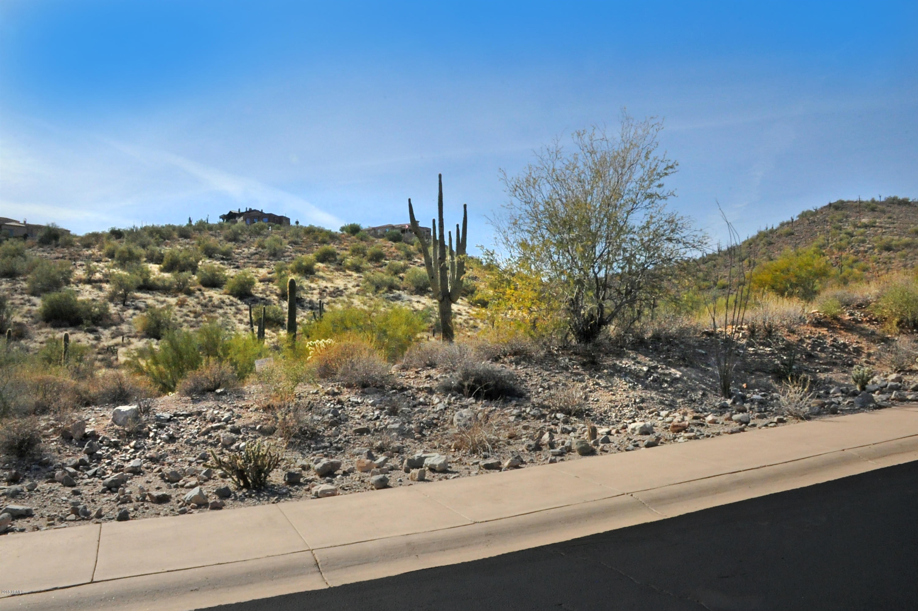 11664 N Sunset Vista Drive Property Photo 11