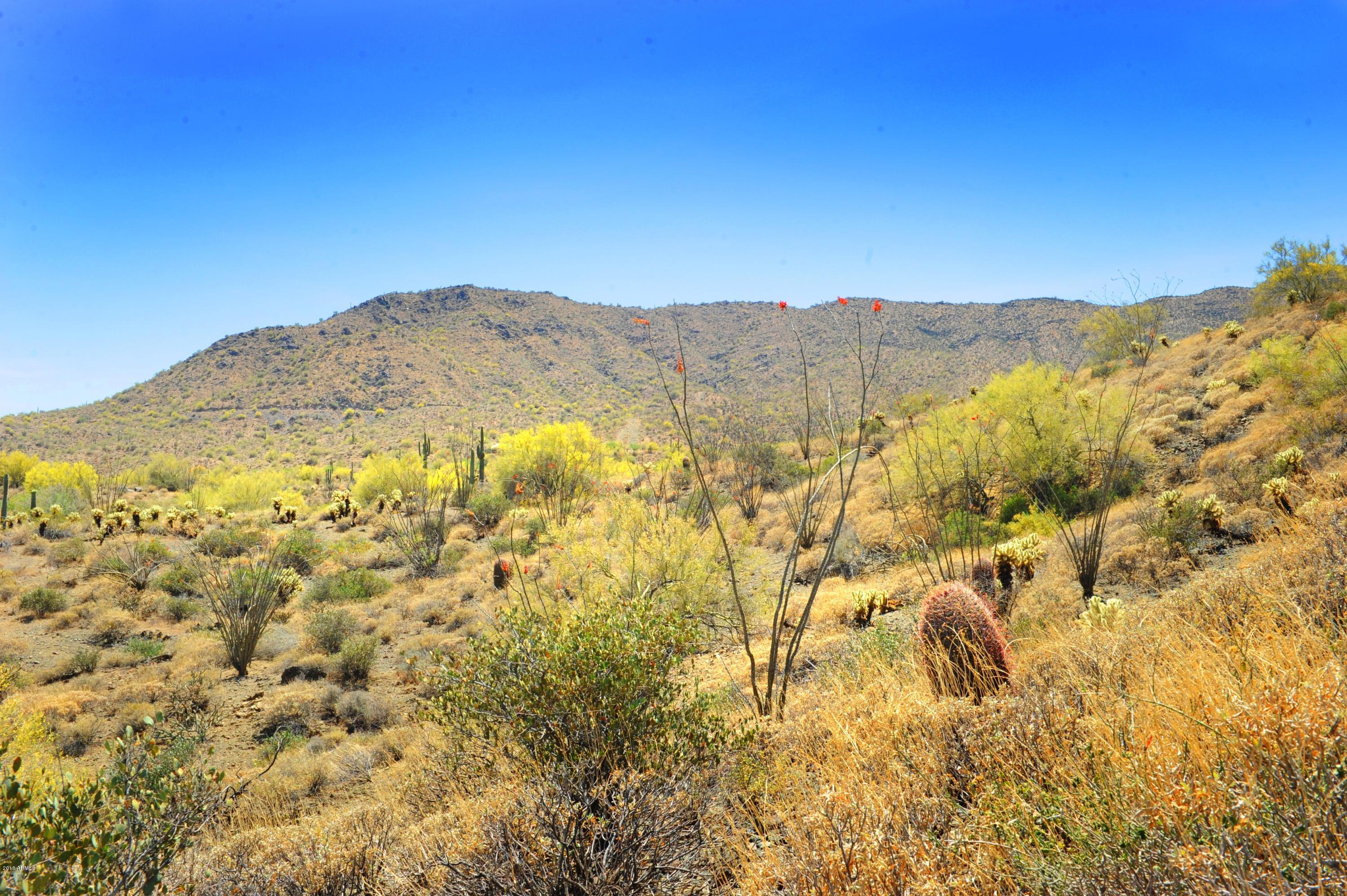 14317 E Mourning Dove Drive Property Photo 3