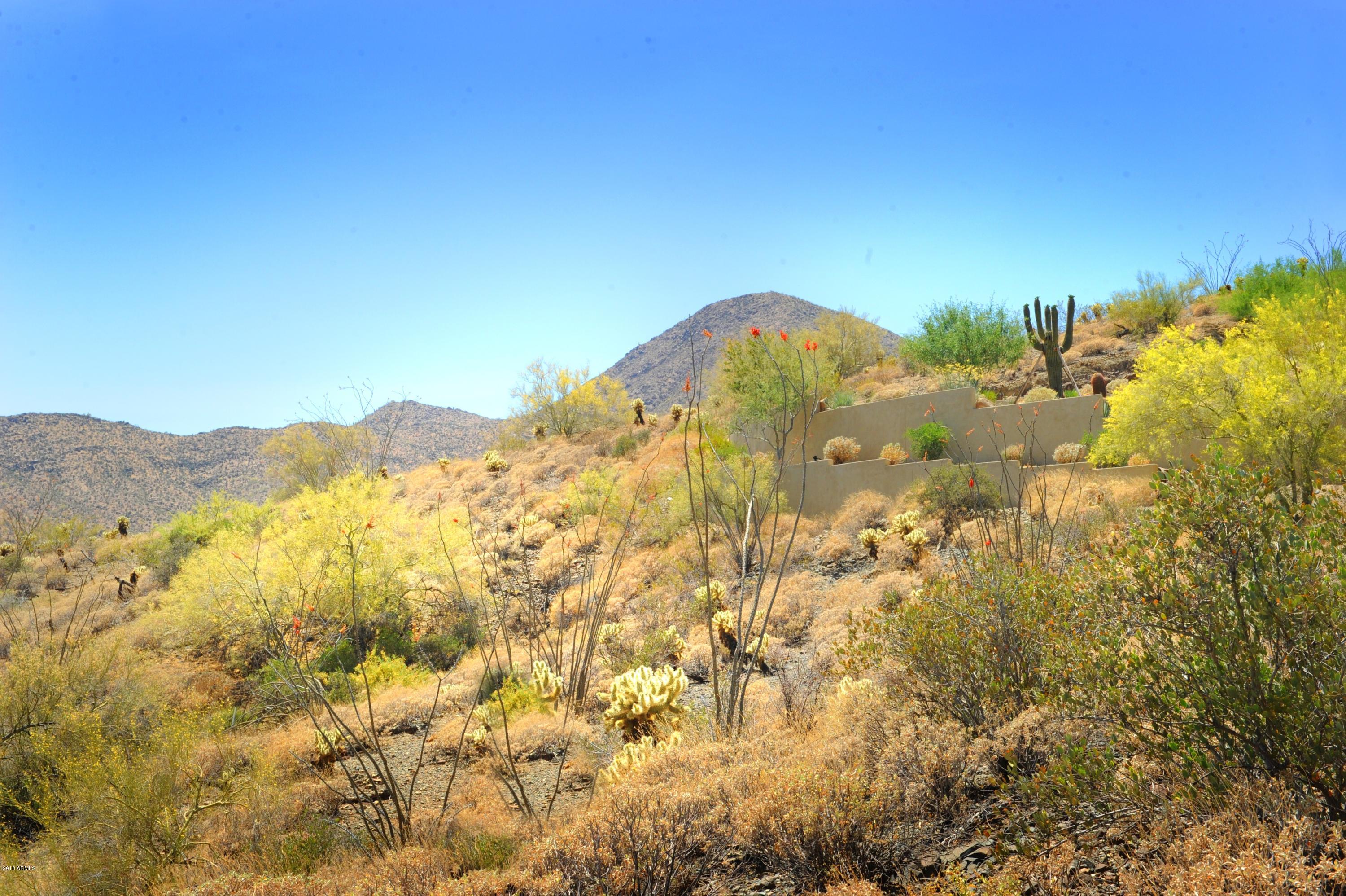 14317 E Mourning Dove Drive Property Photo 4
