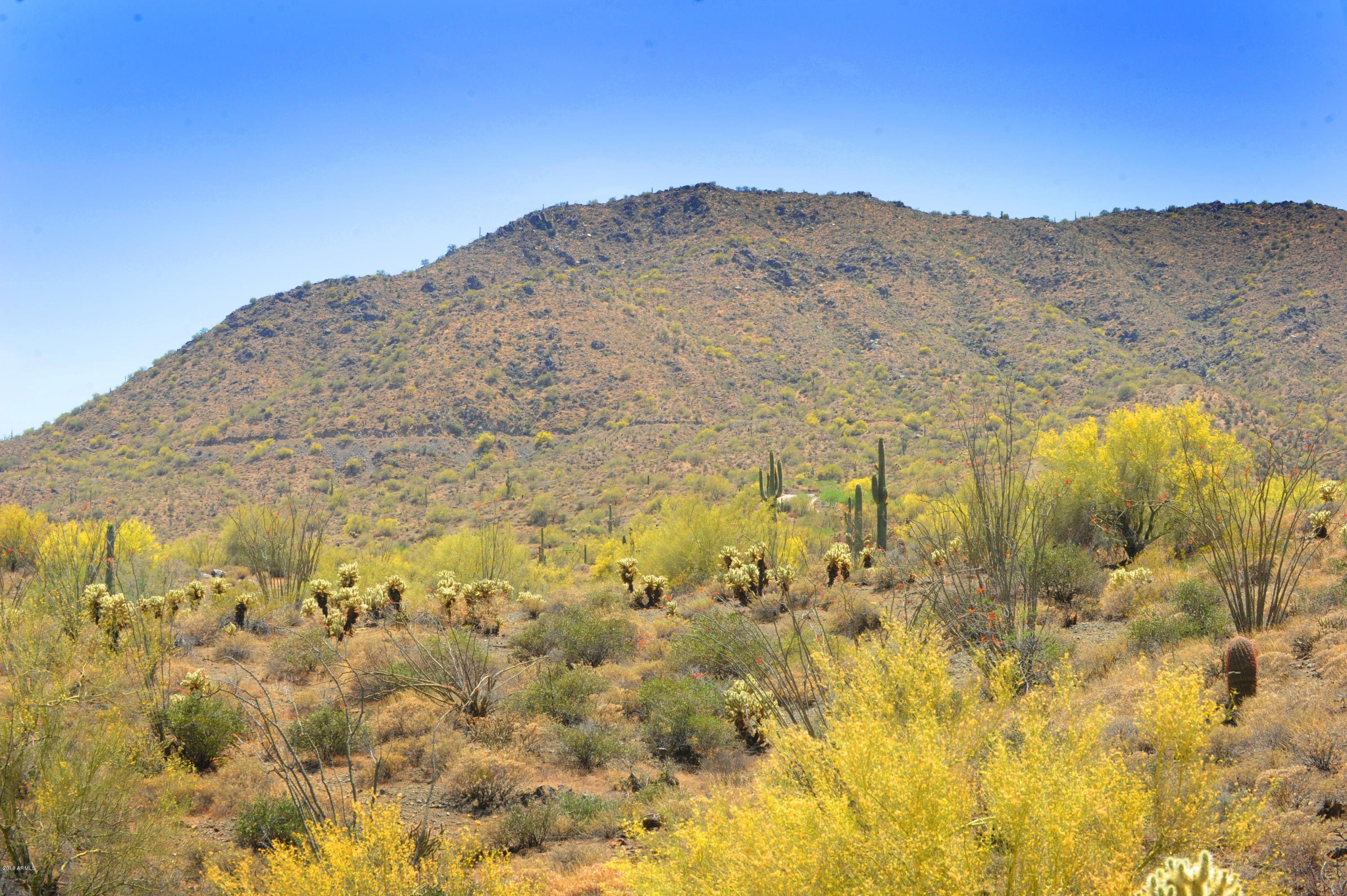 14317 E Mourning Dove Drive Property Photo 8