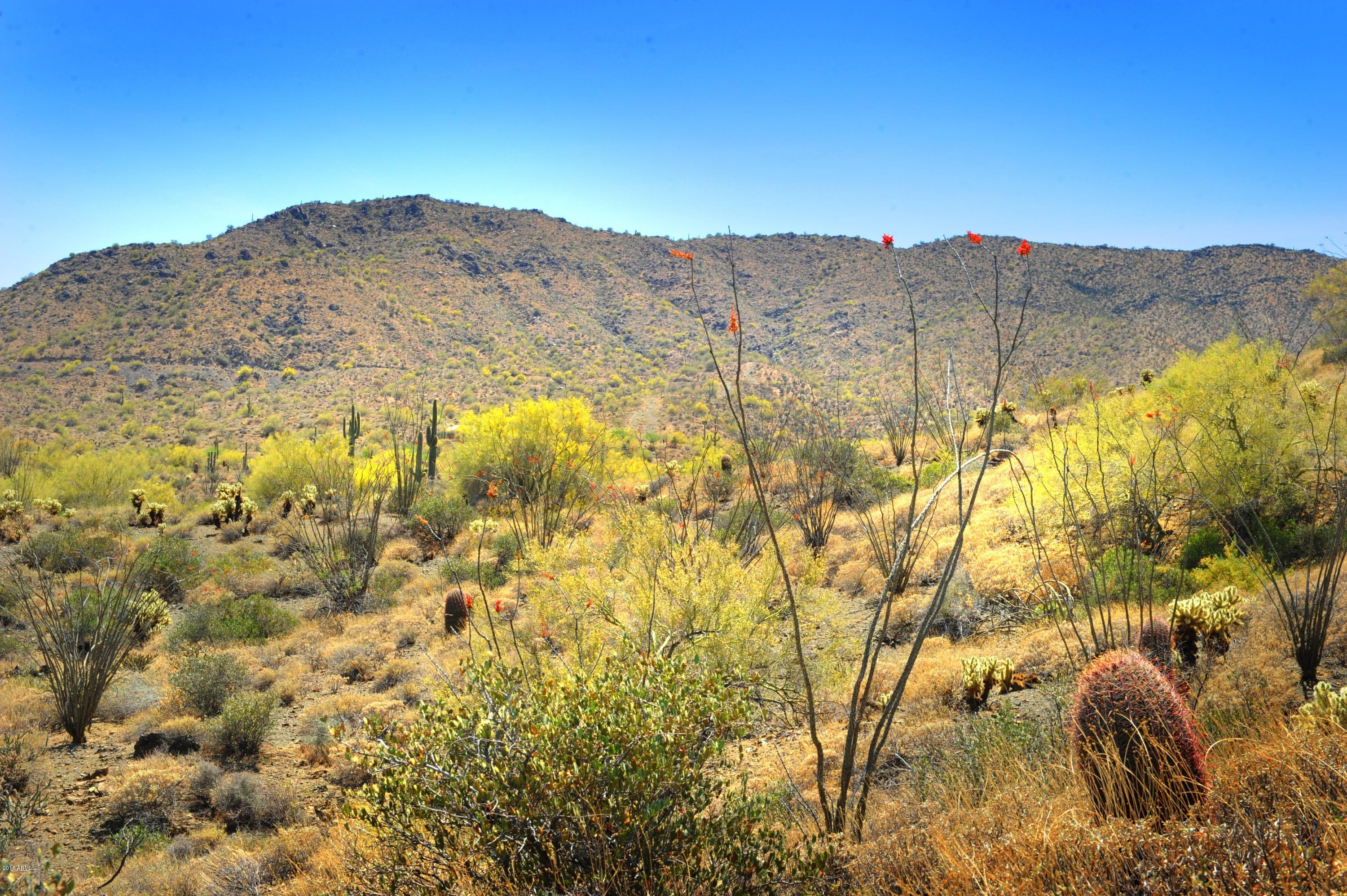 14317 E Mourning Dove Drive Property Photo 11