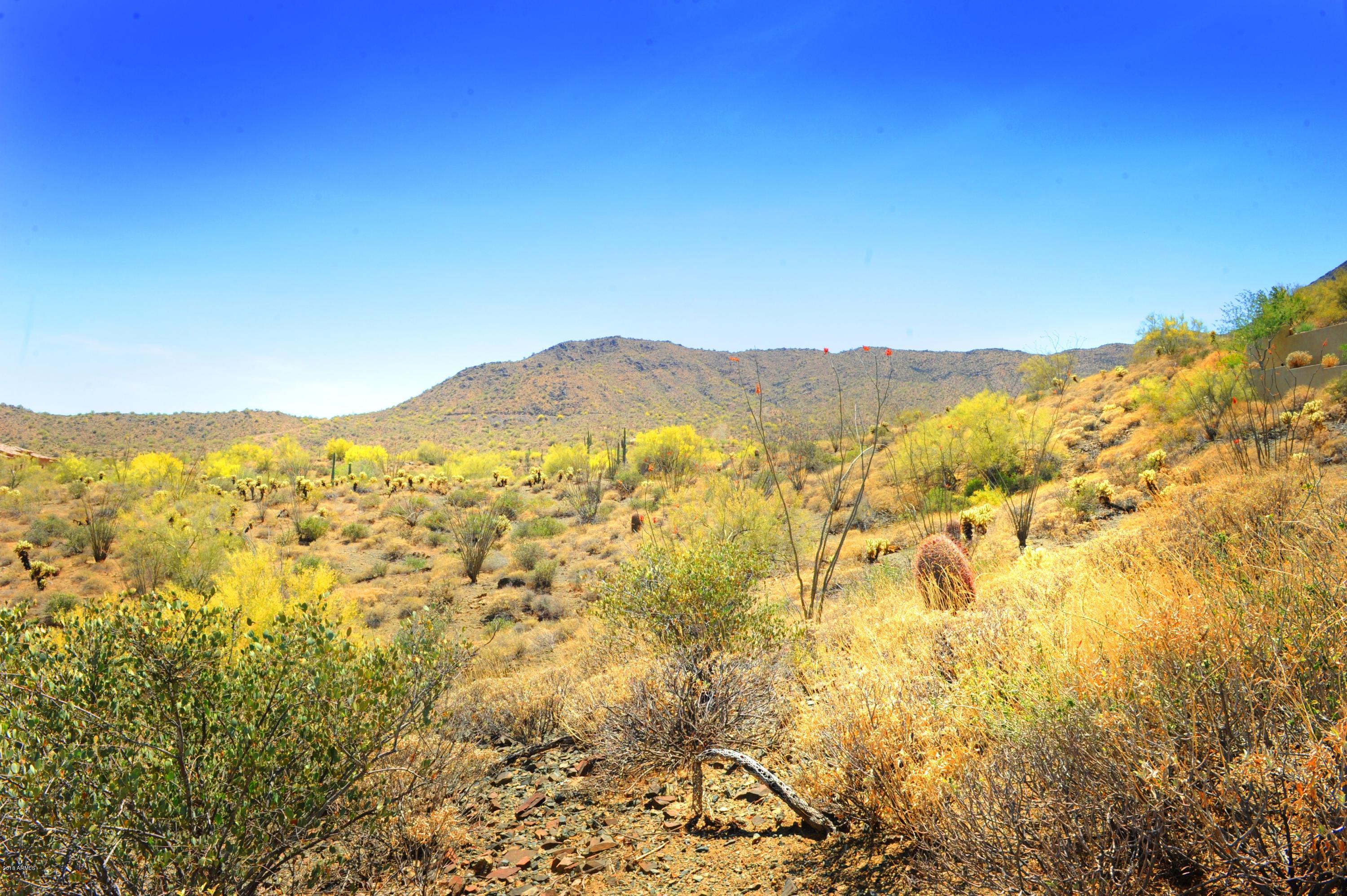 14317 E Mourning Dove Drive Property Photo 12