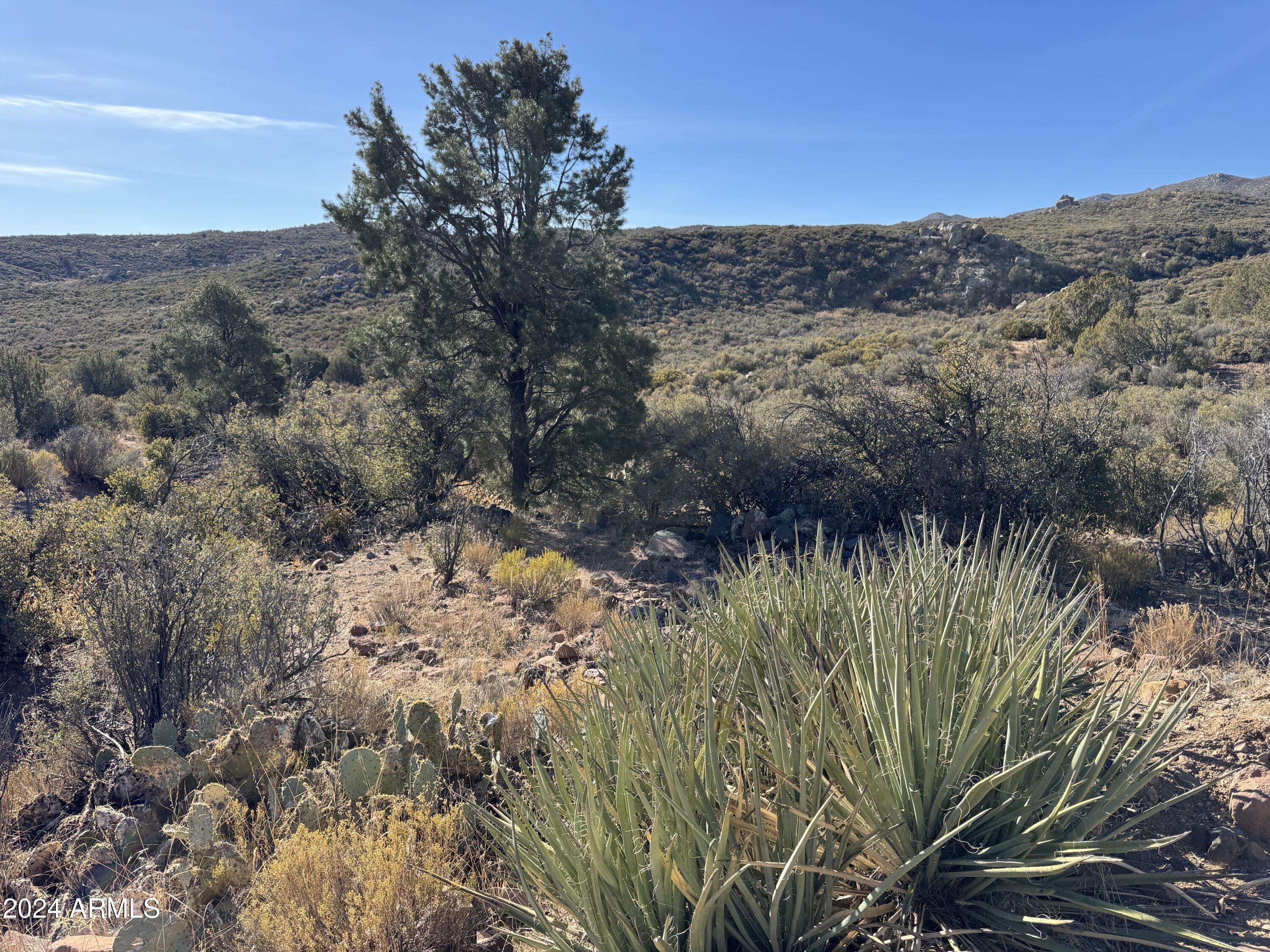 10800 S Quarter Horse Road Property Photo 1