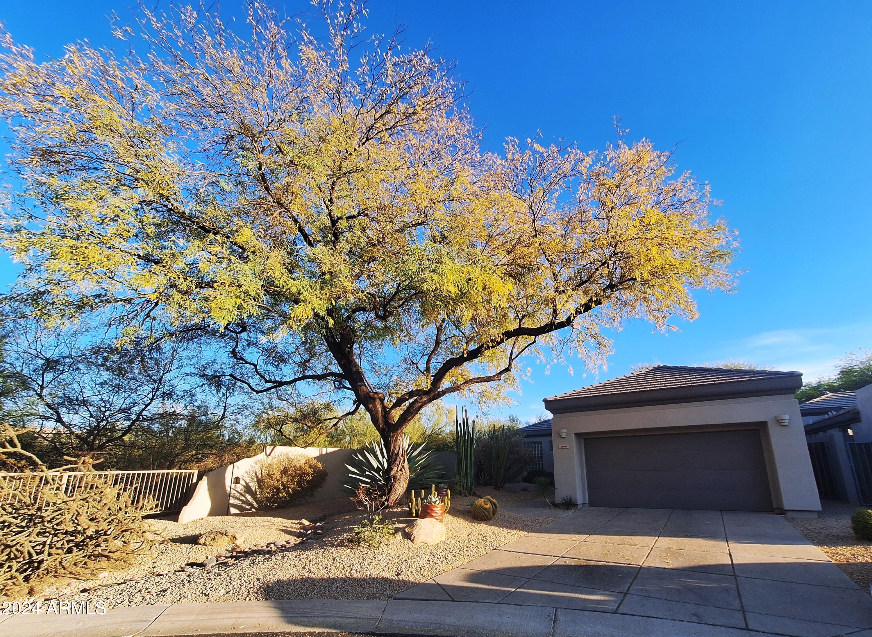 7089 E Whispering Mesquite Trail Property Photo 1