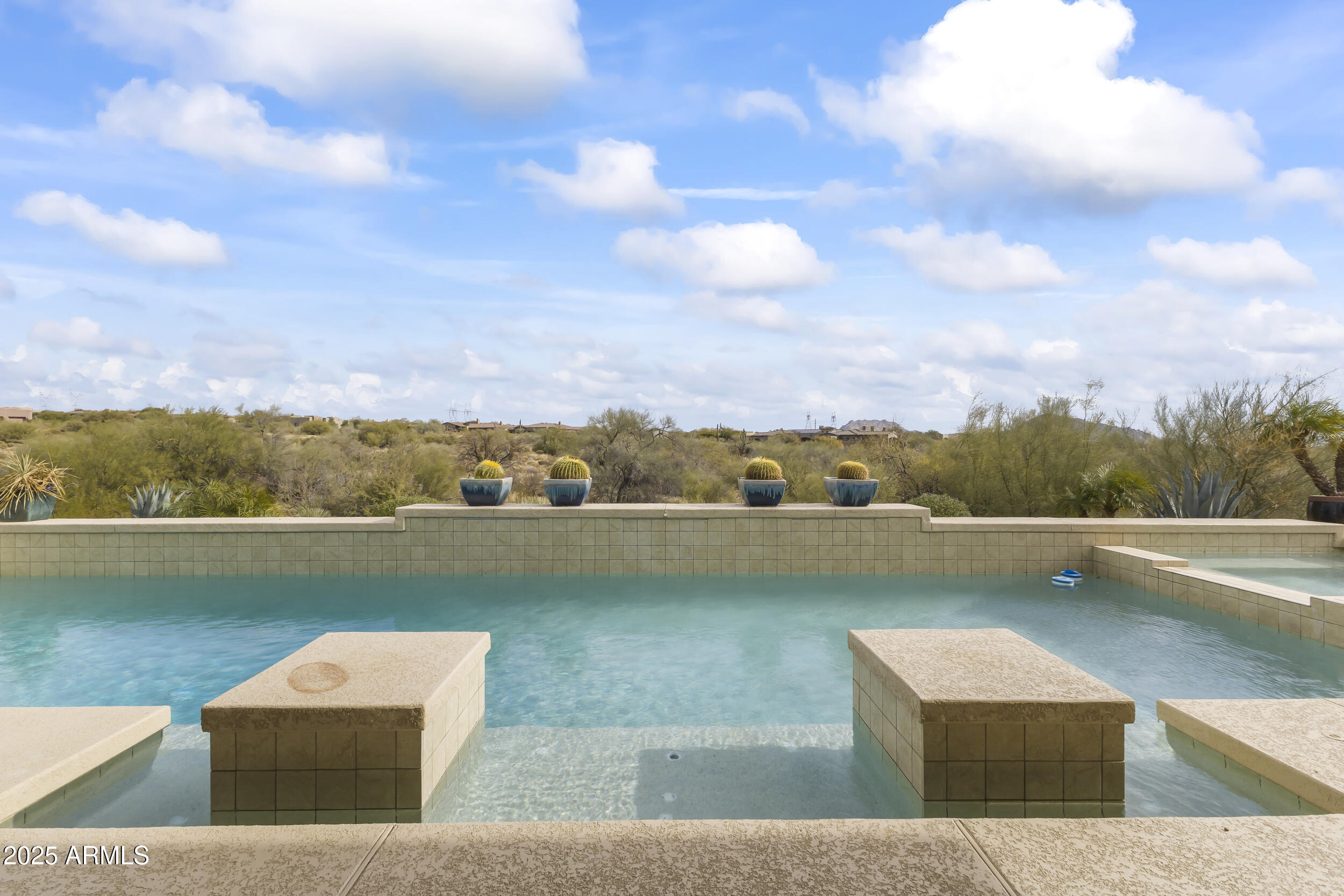 36549 N Porta Nuova Road Property Photo 77