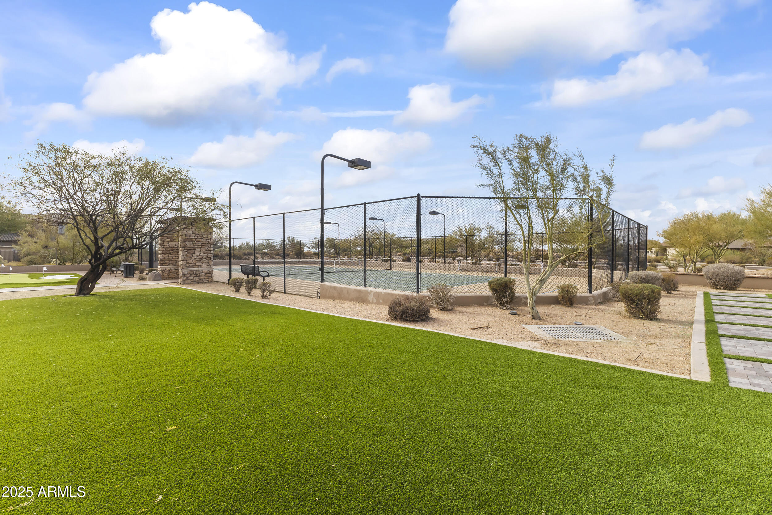 36549 N Porta Nuova Road Property Photo 104