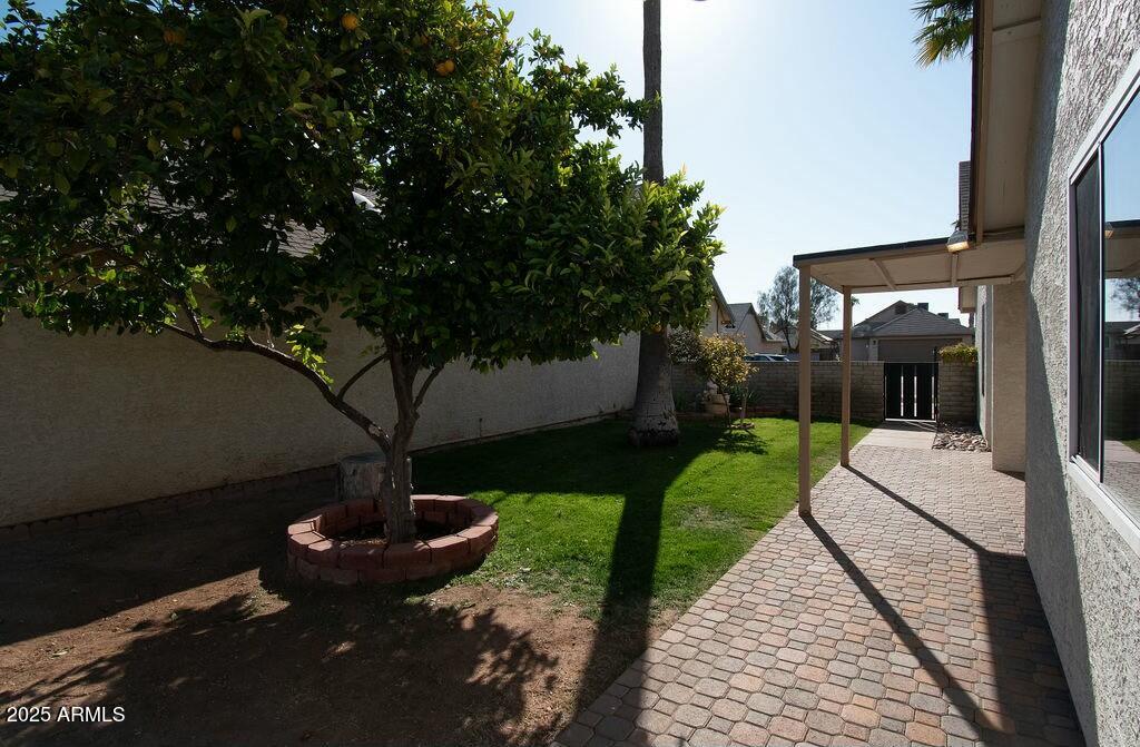 1636 E Juanita Avenue Property Photo 6
