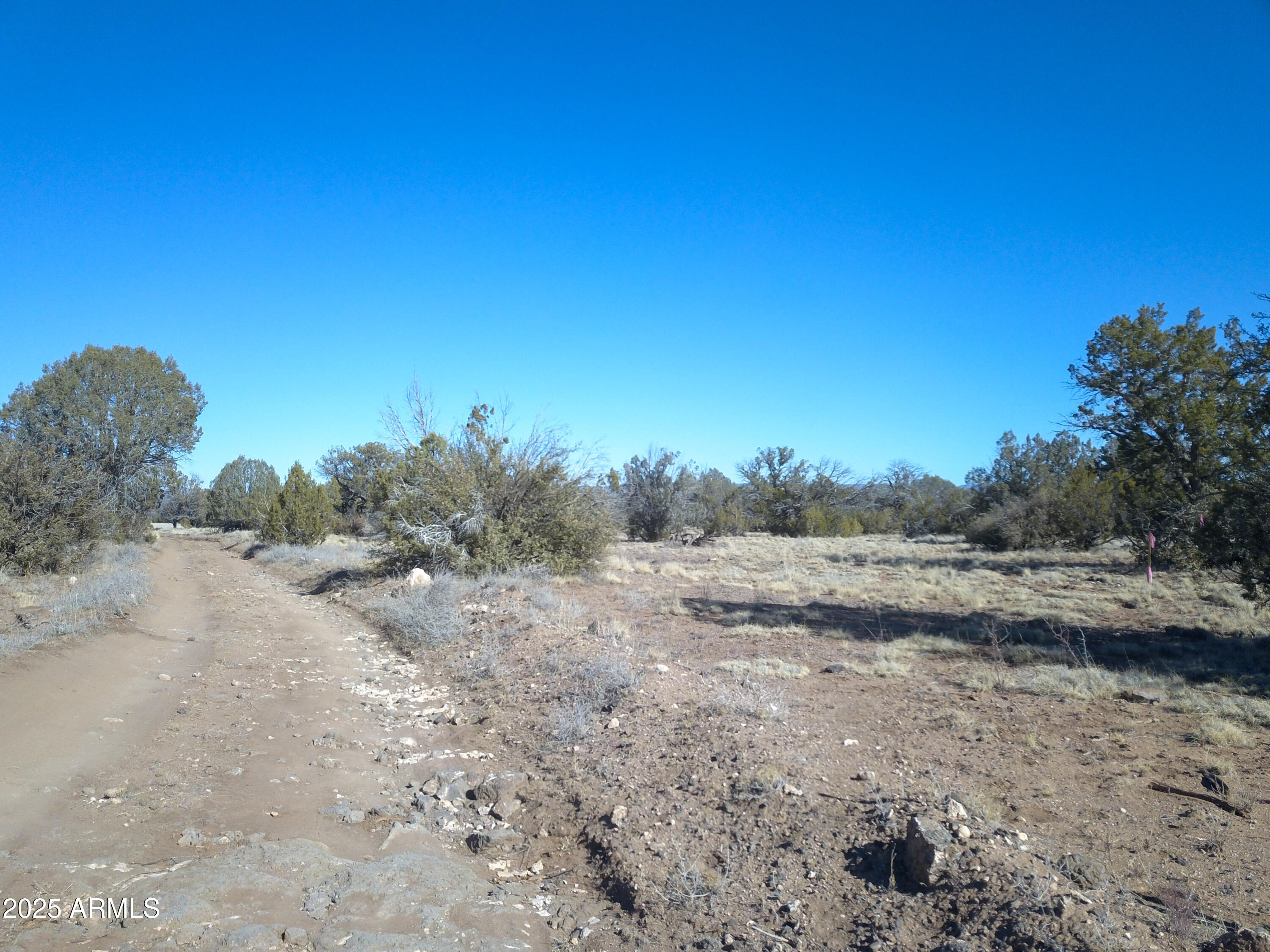 137 Cattle Drive Property Photo