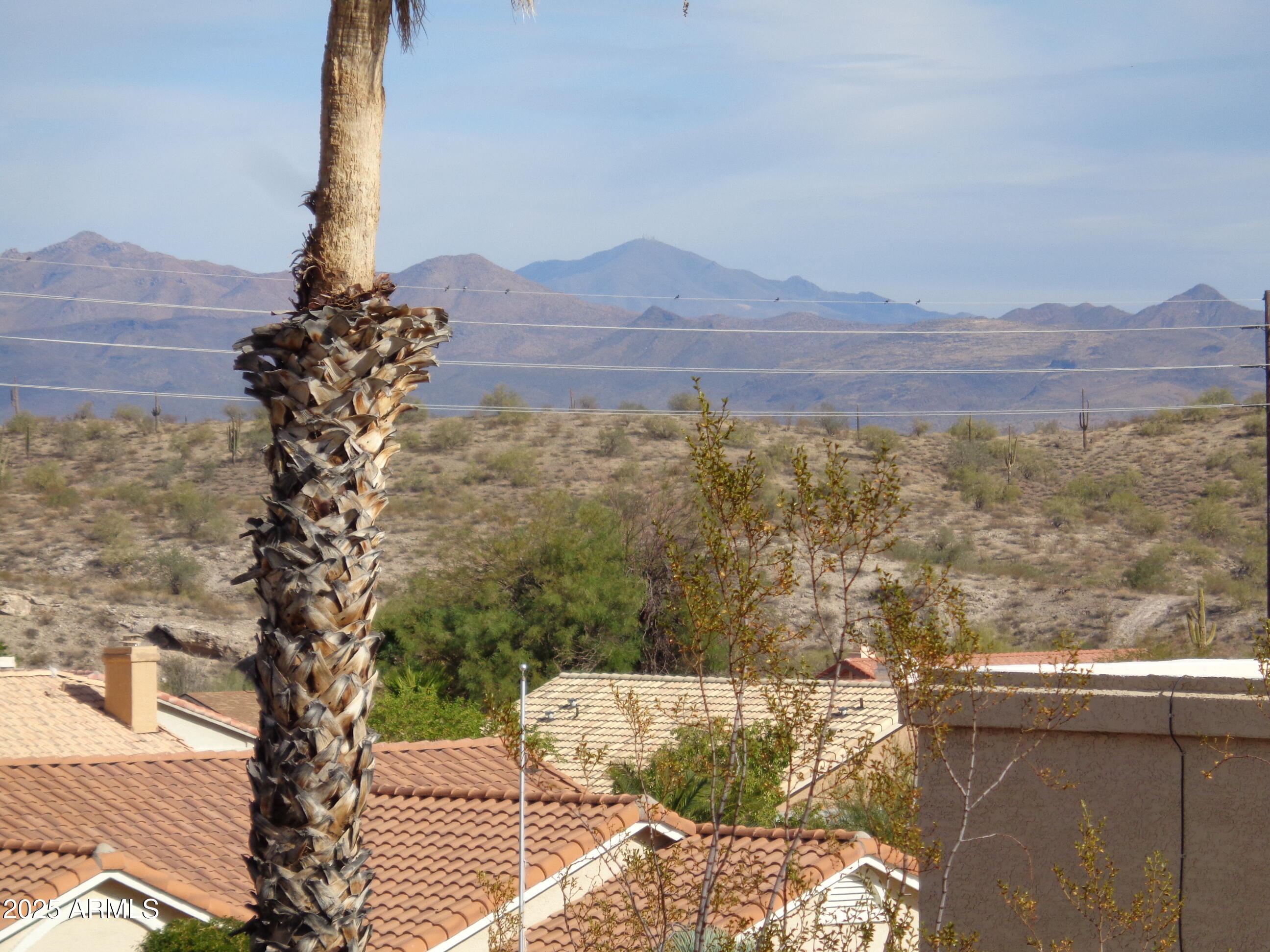 17029 E El Pueblo Boulevard Property Photo 2