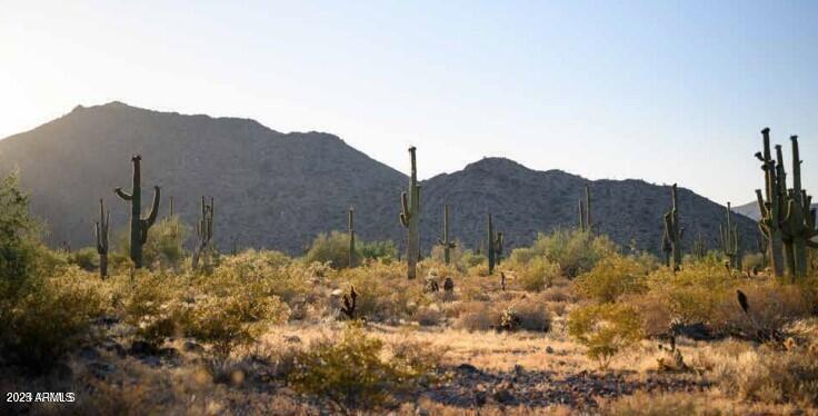 22645 W Irma Lane Property Photo 12