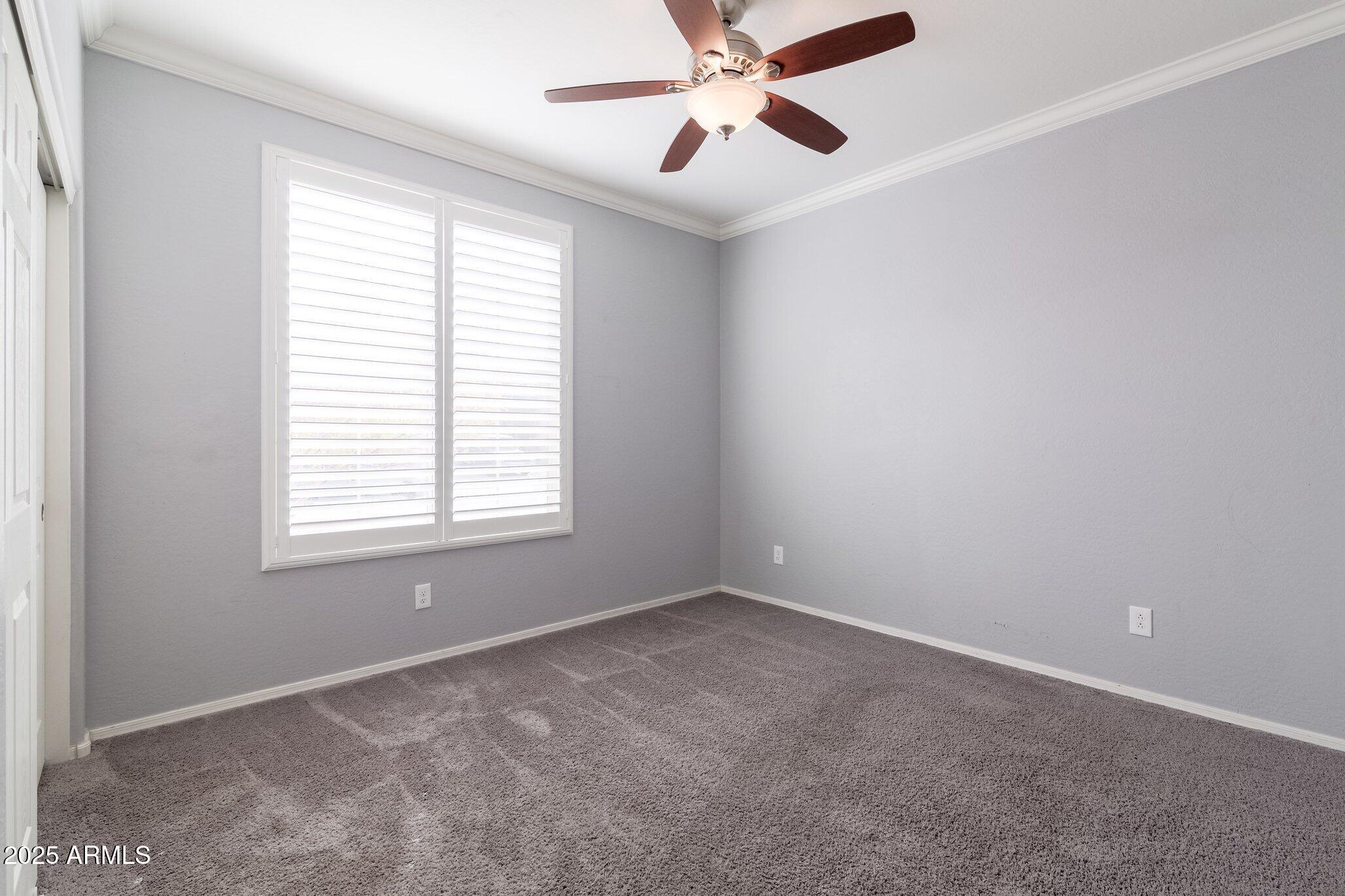 2702 E Saddlebrook Road Property Photo 17