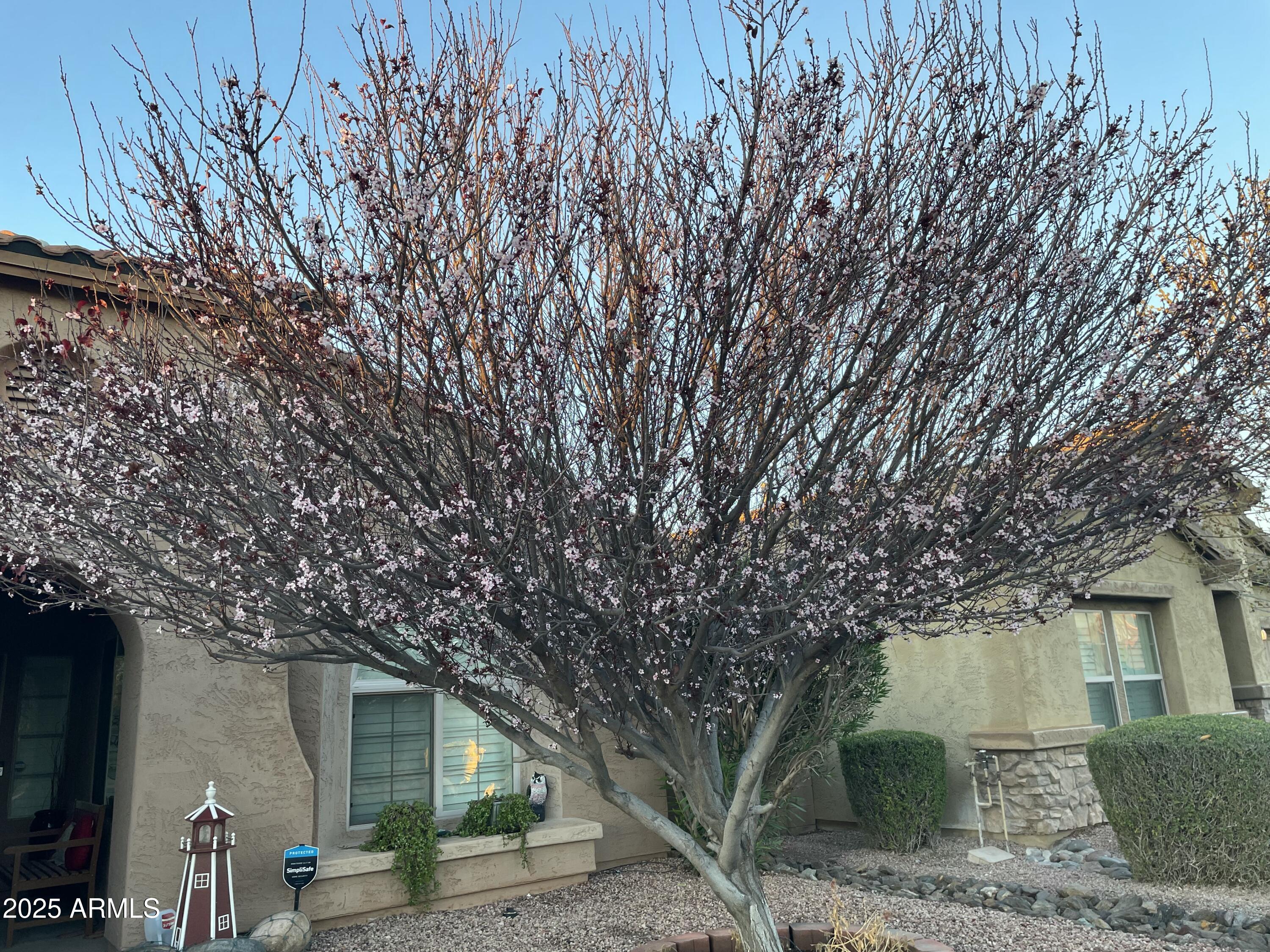 10851 E Sonrisa Avenue Property Photo 65