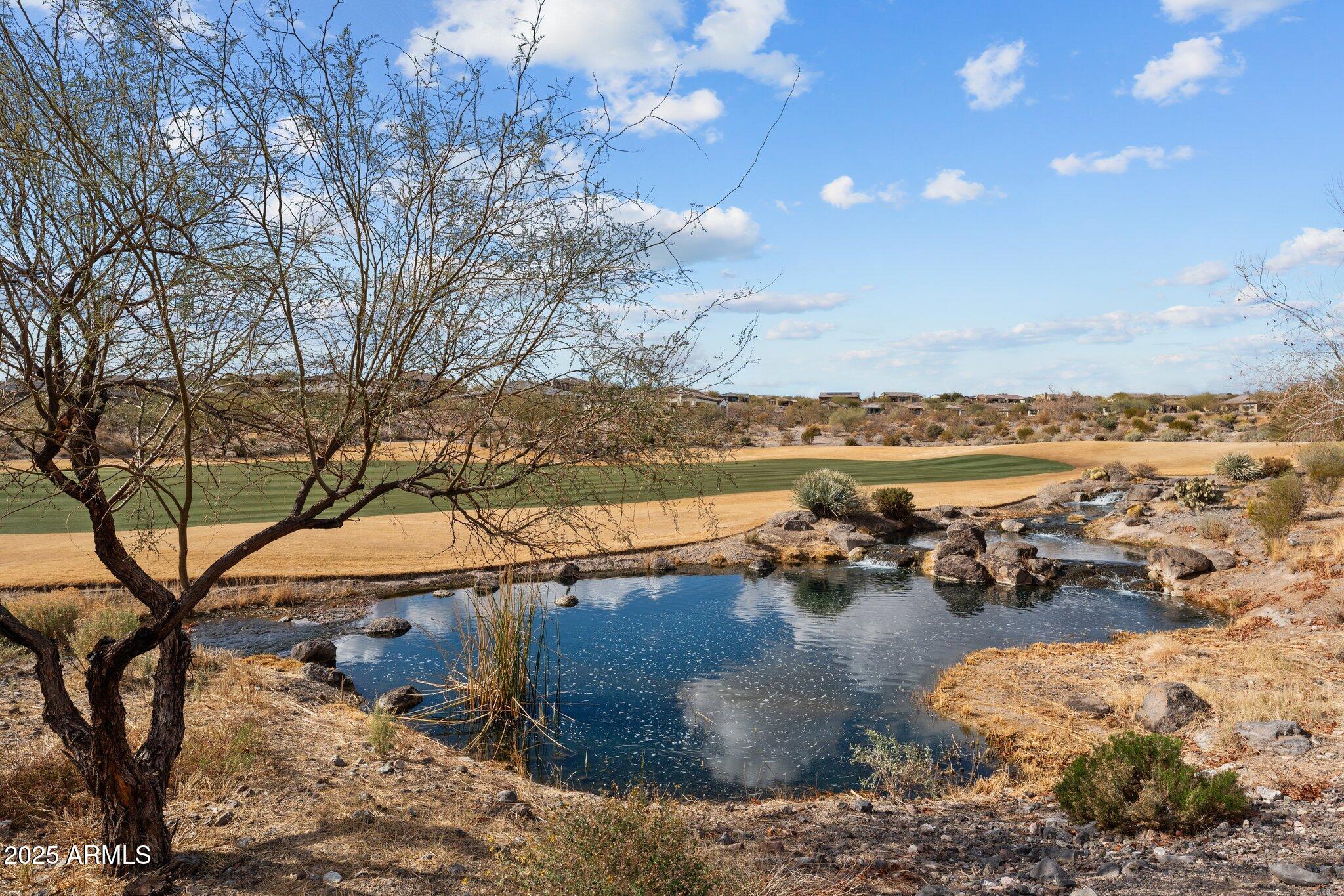 4222 Cactus Blossom Road Property Photo 43
