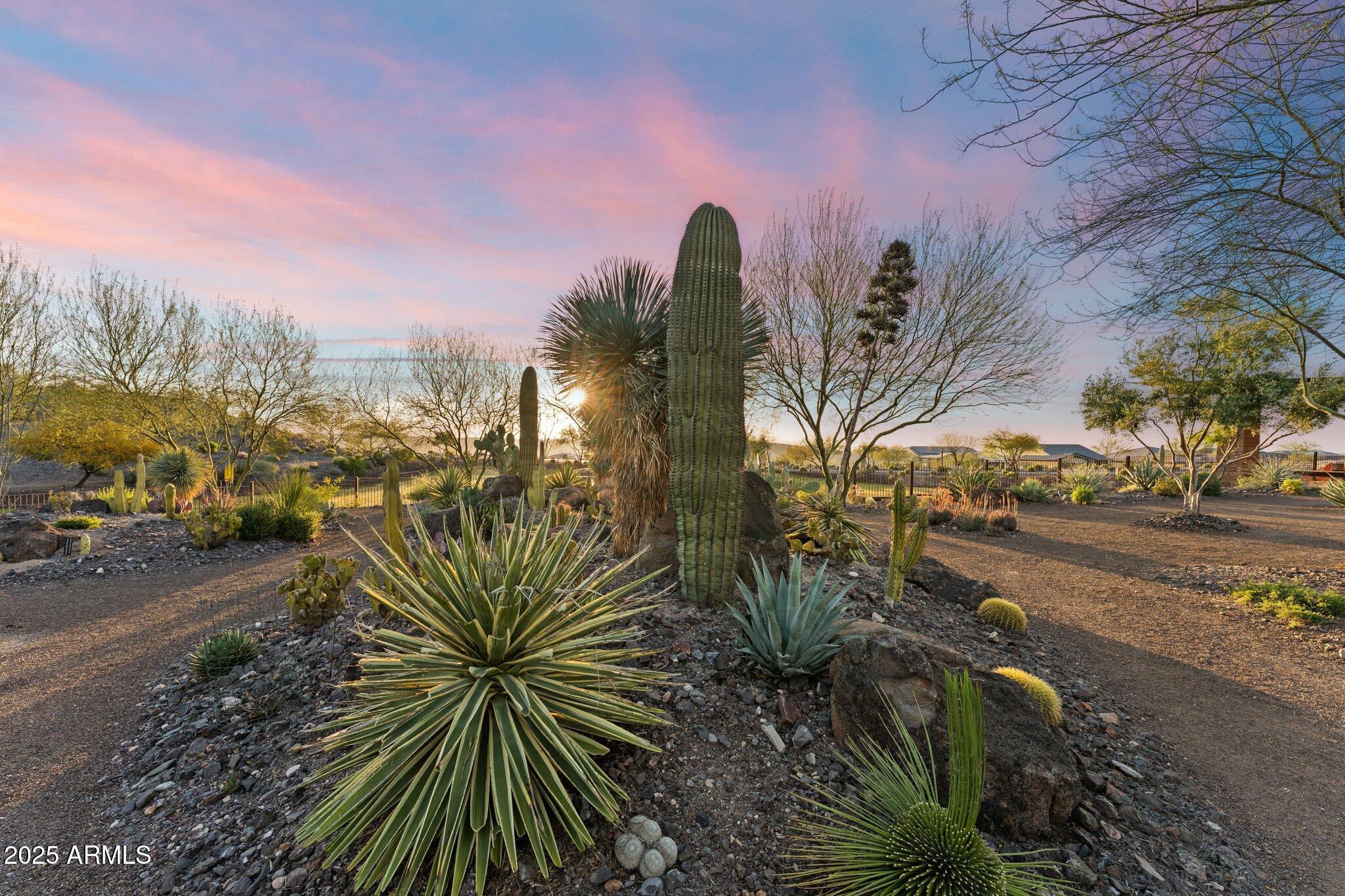 4222 Cactus Blossom Road Property Photo 54