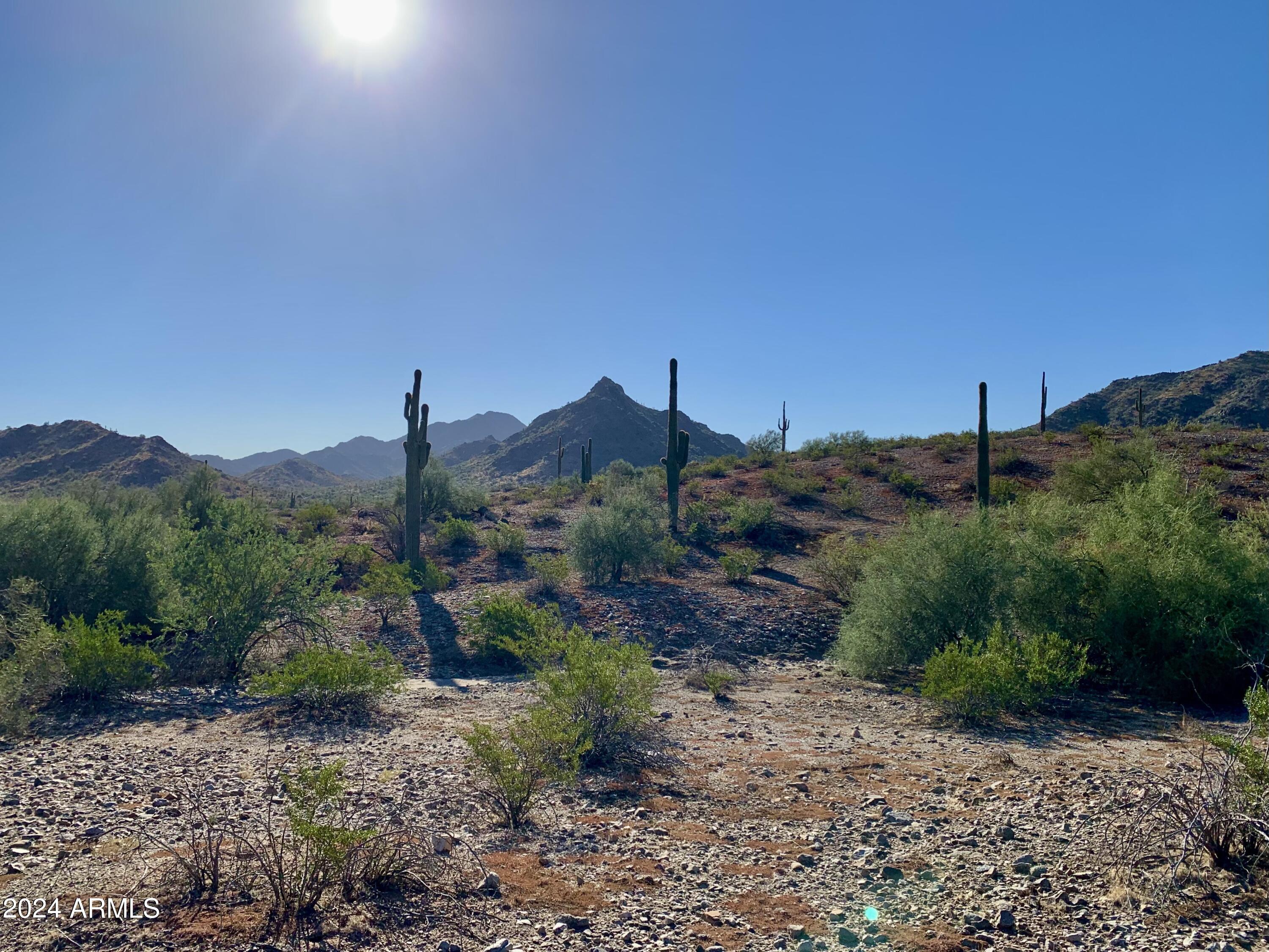 18111 W Desert Sage Drive Property Photo 108