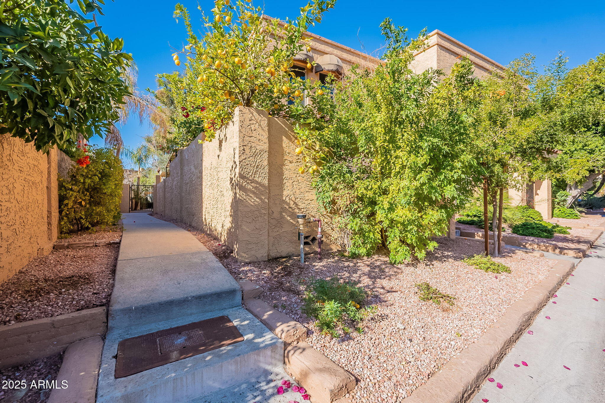 10426 N 10th Street Property Photo 4