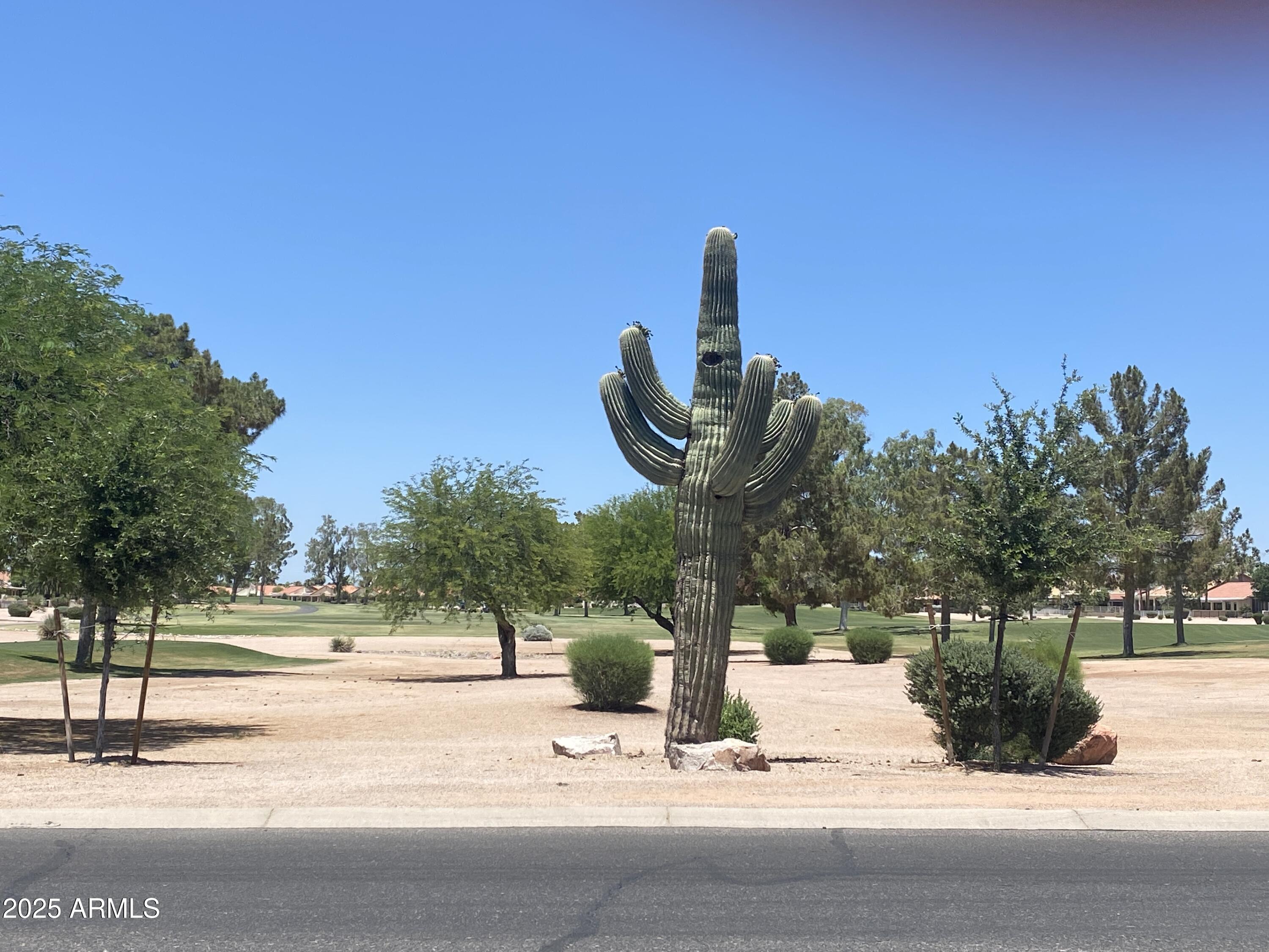 11115 E Bellflower Court Property Photo 47