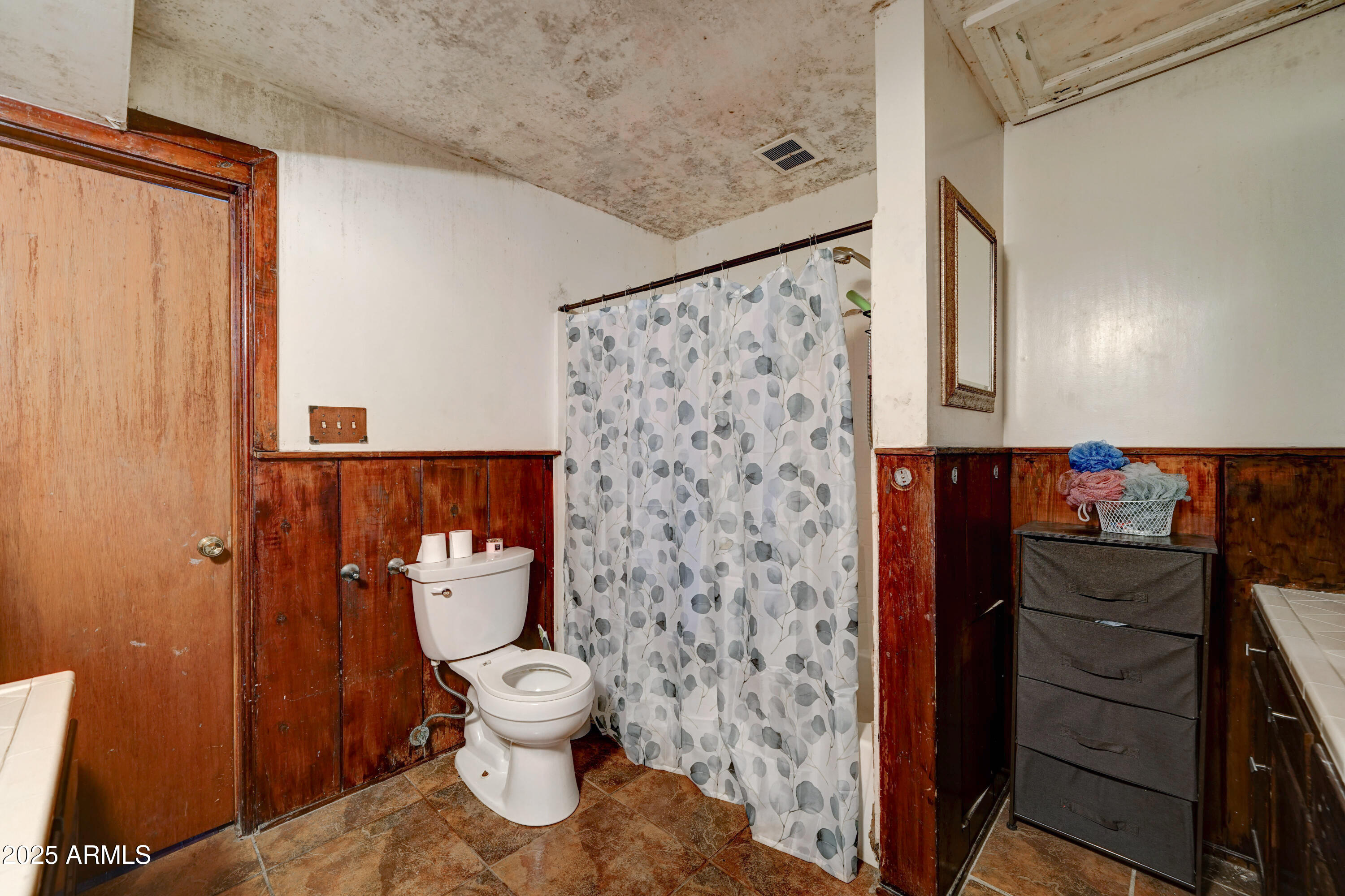 4302 W Dobbins Road Property Photo 18