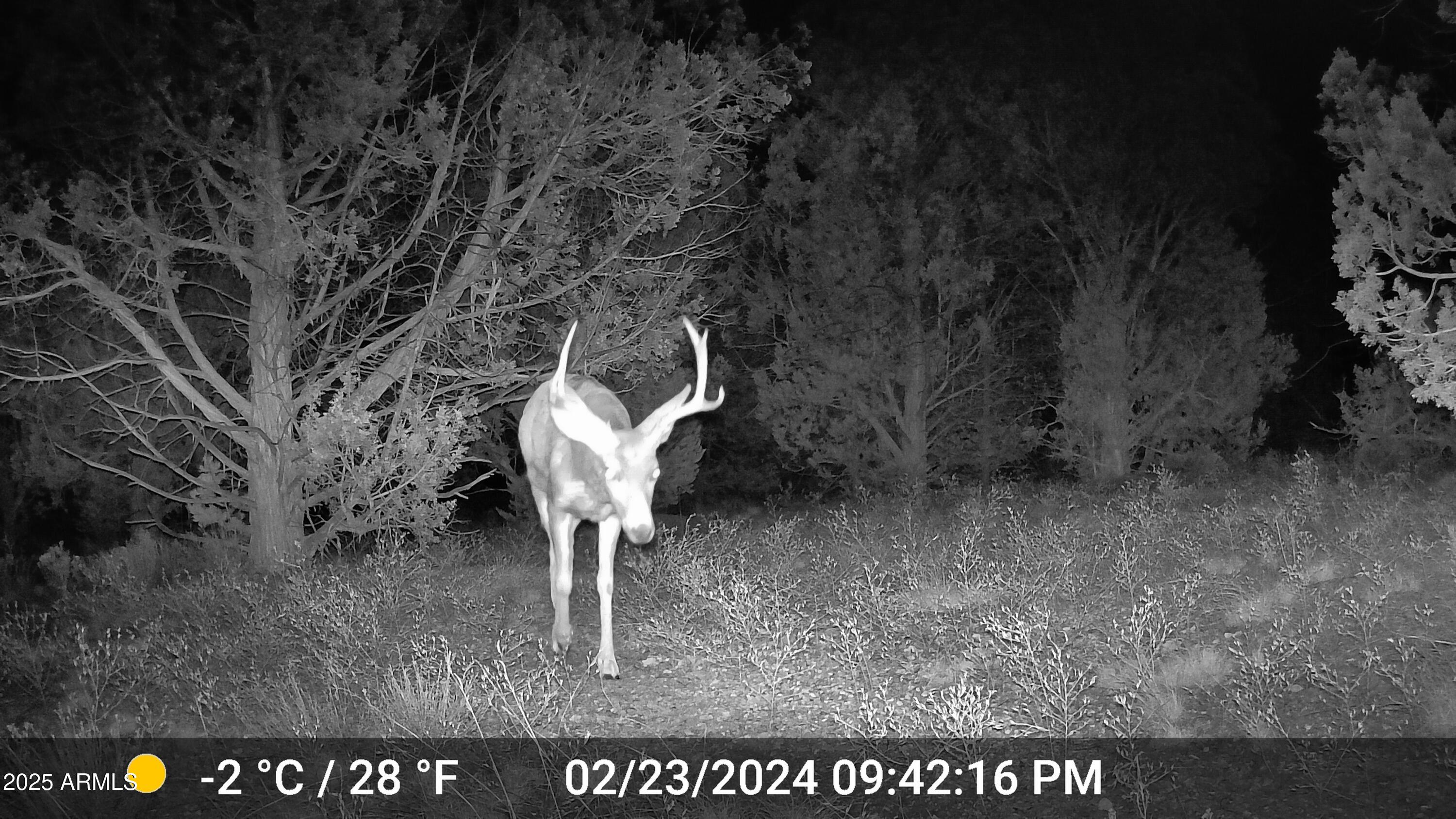 390 N Juniper Ranch Road Property Photo