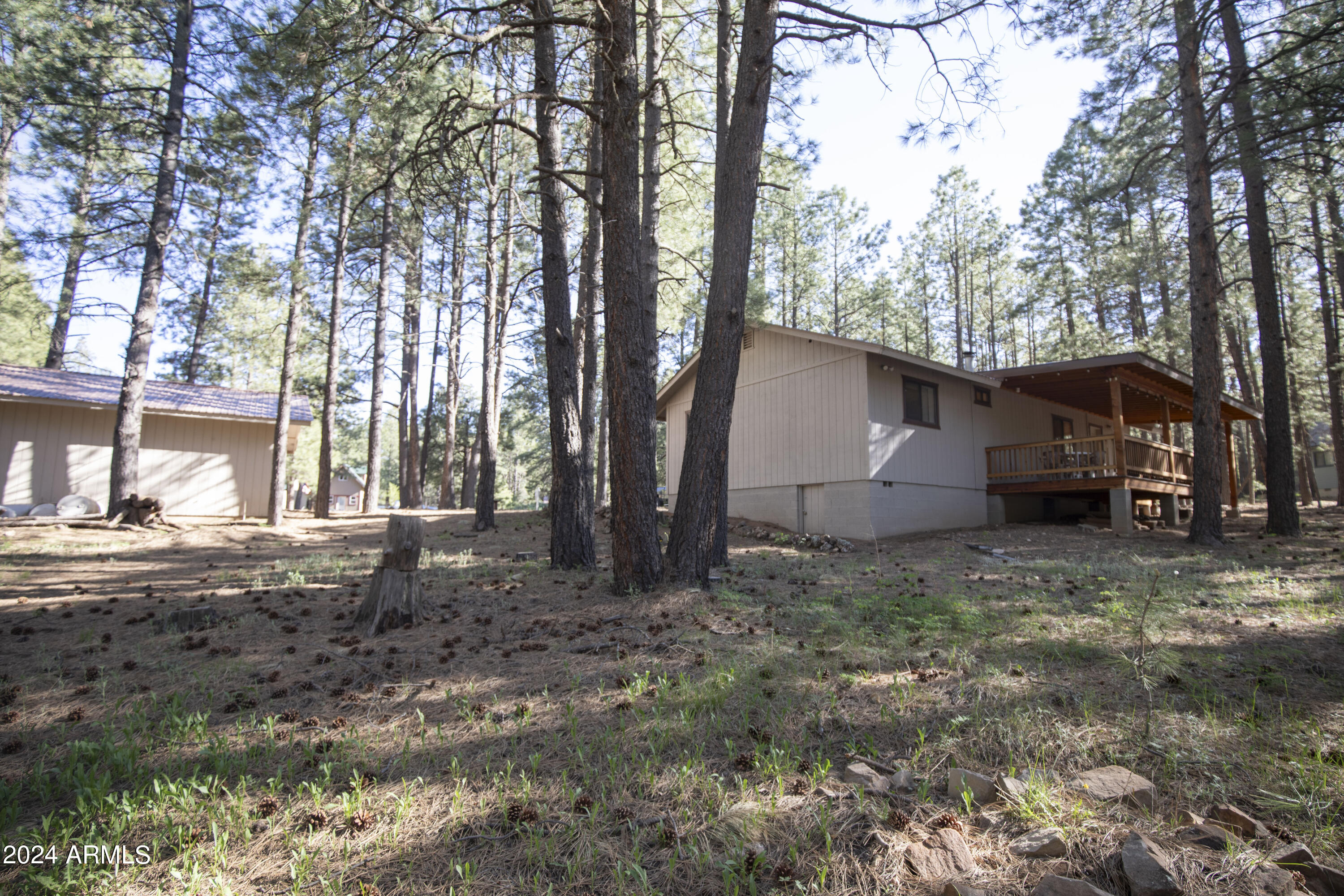1667 Little Pine Trail Property Photo 6
