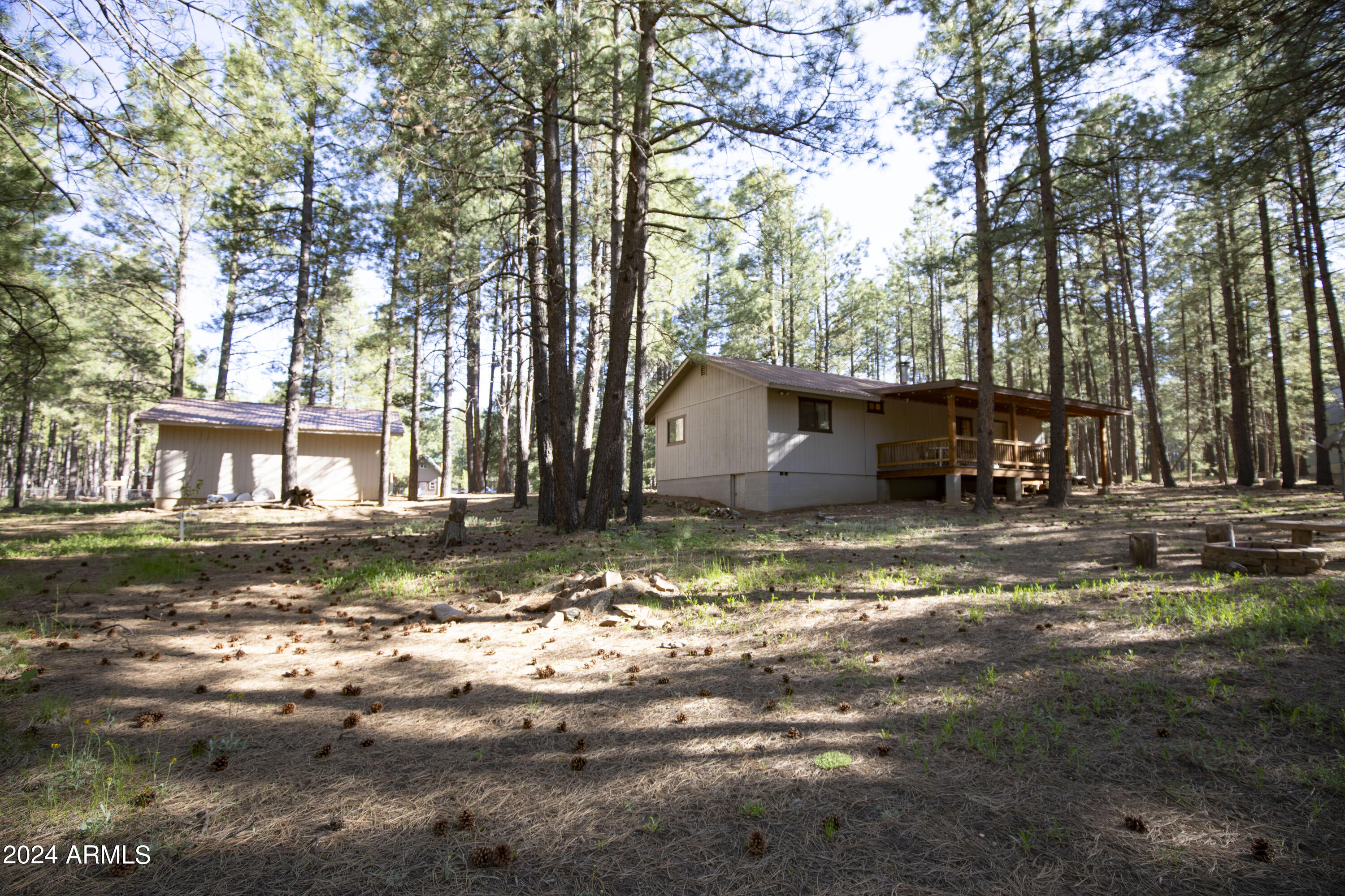 1667 Little Pine Trail Property Photo 34
