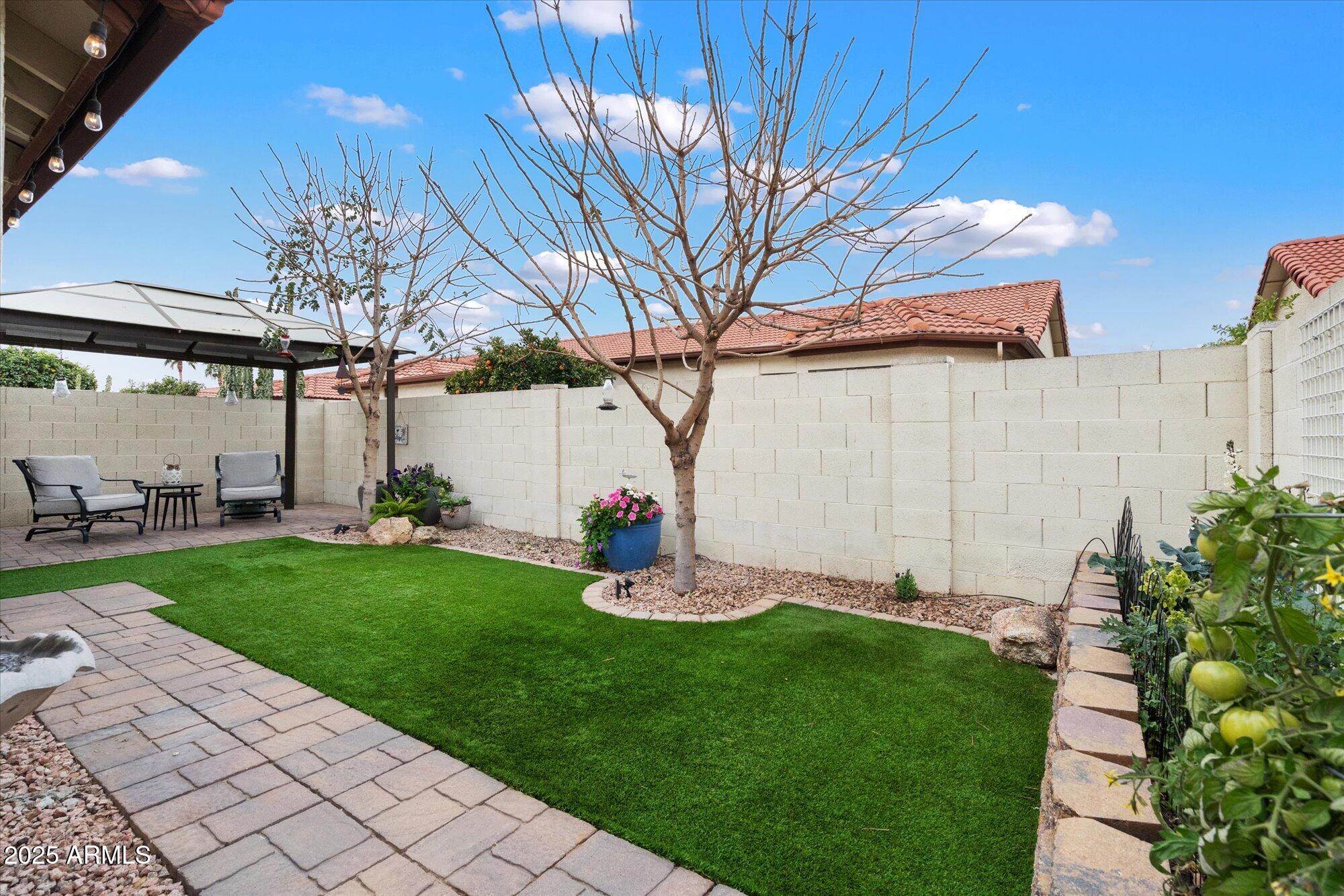 542 S Higley Road Property Photo 4
