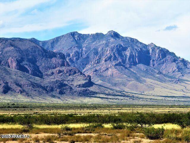 Three Triangle Ranches #37 41 Acres Property Photo 1