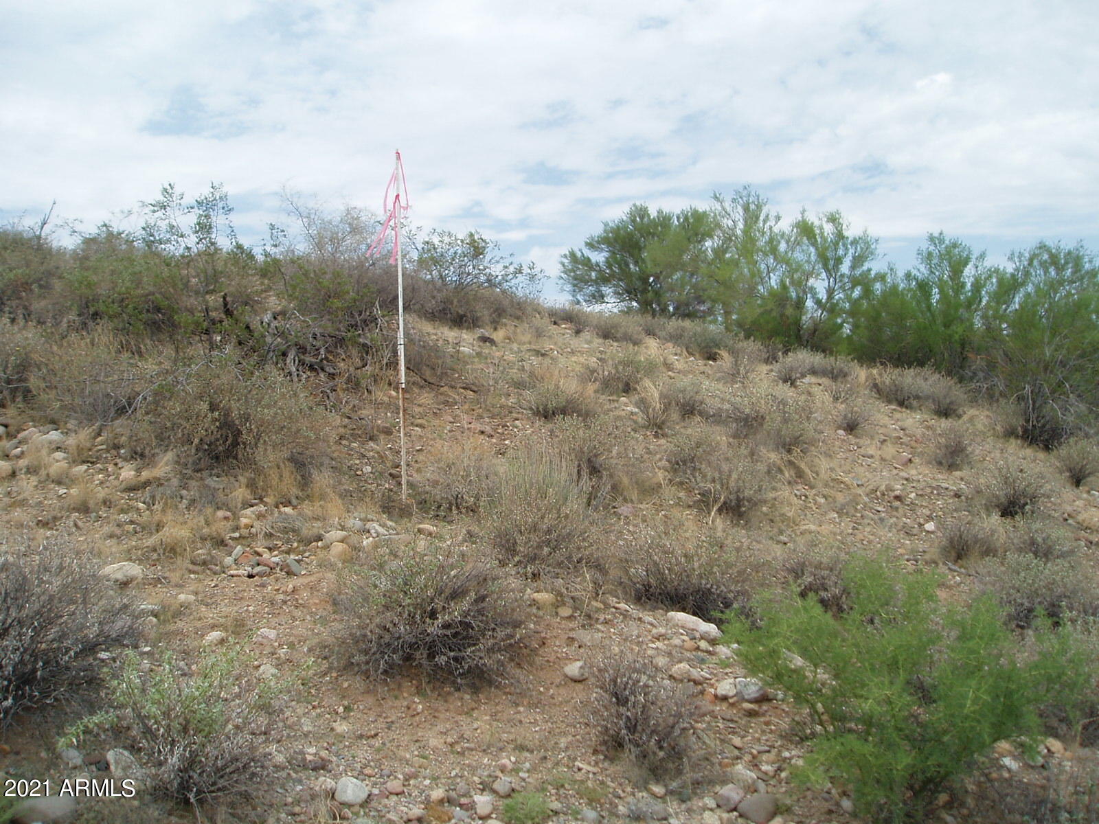 290xx W Dove Valley Road Property Photo 1