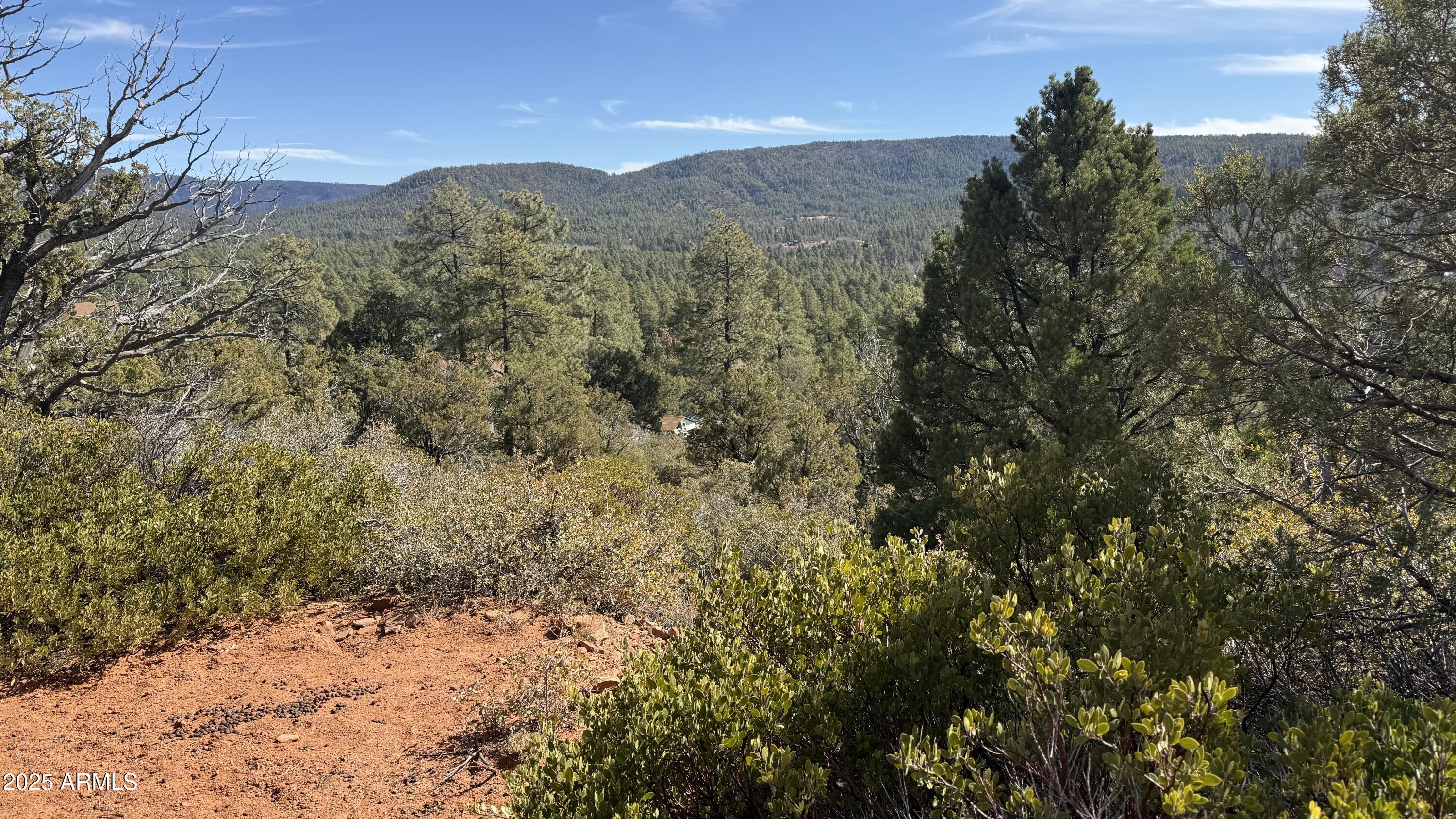 Lot 73 W Tomahawk Trail Property Photo 1
