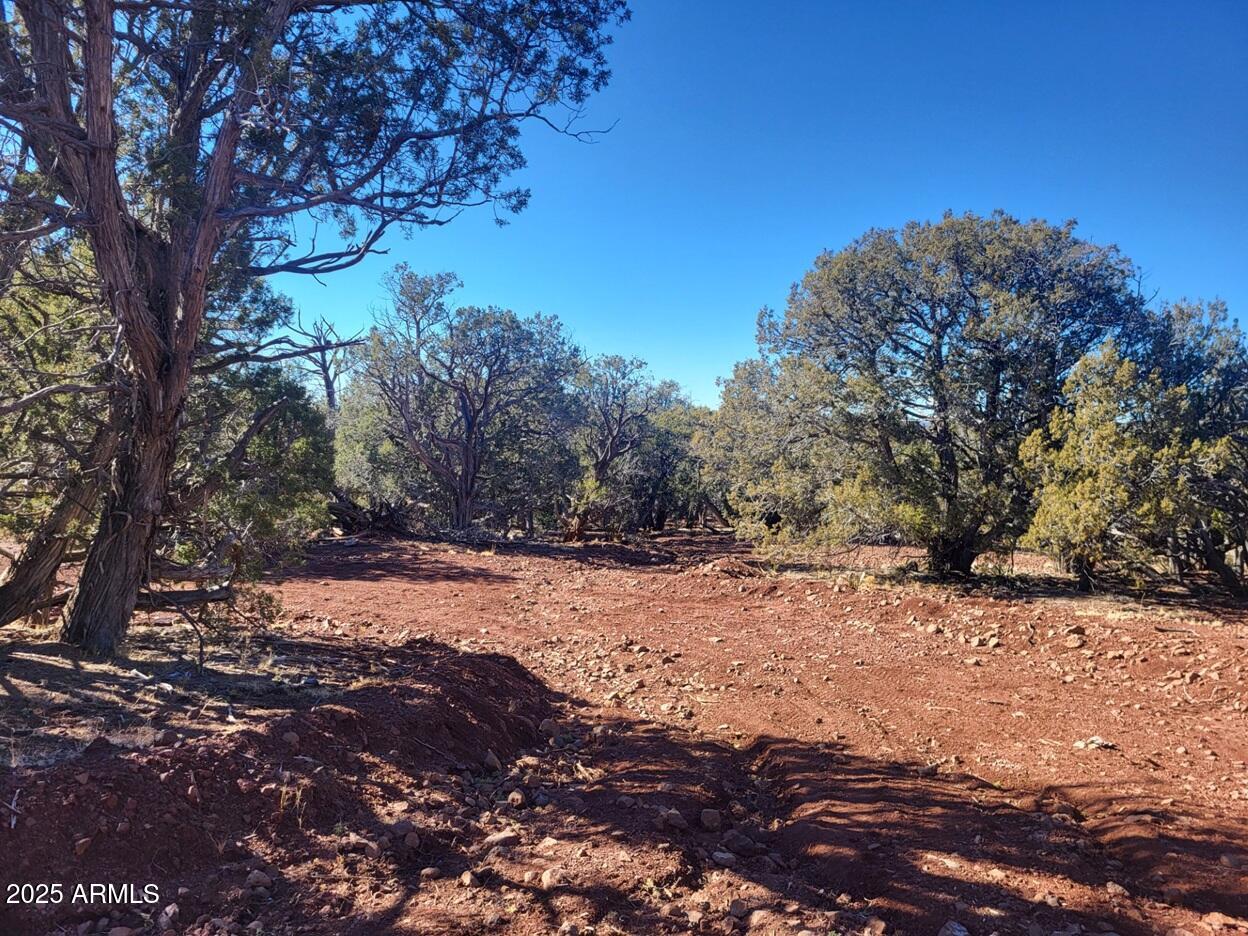 17375 W Beale Wagon Road Property Photo