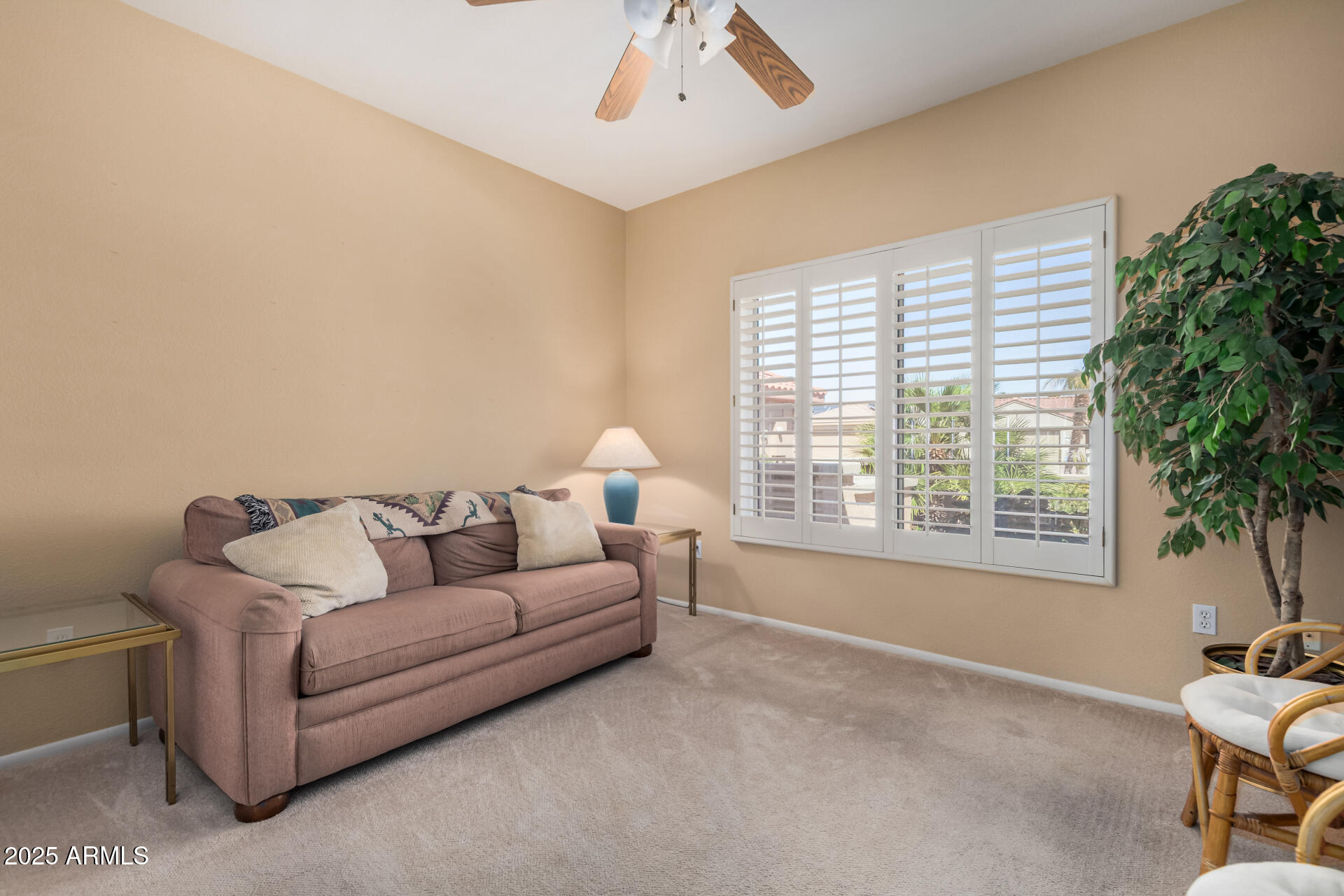 18014 N Calypso Court Property Photo 22