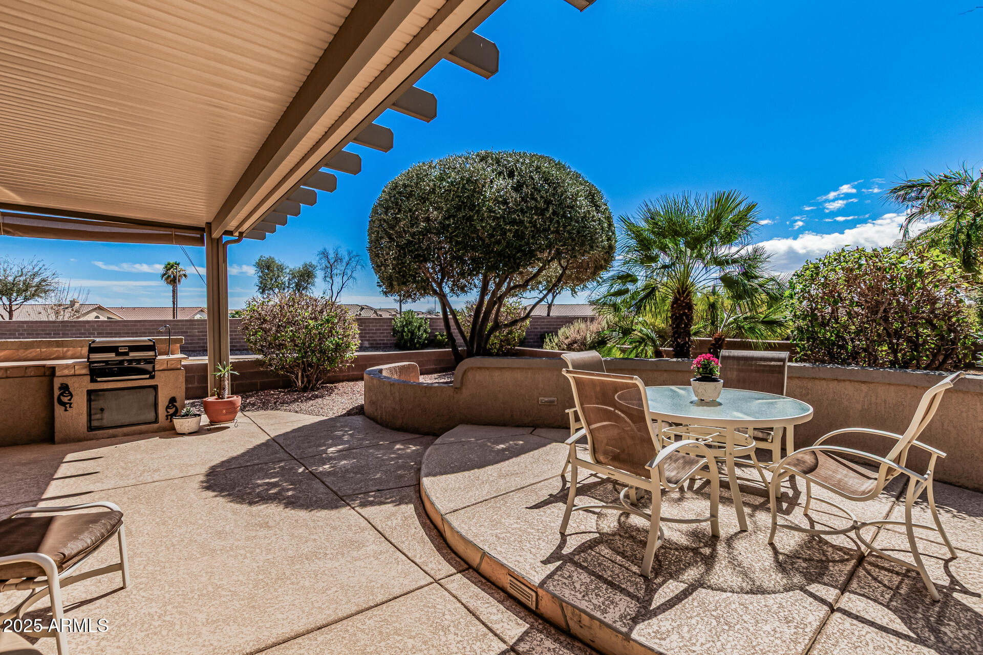18014 N Calypso Court Property Photo 28