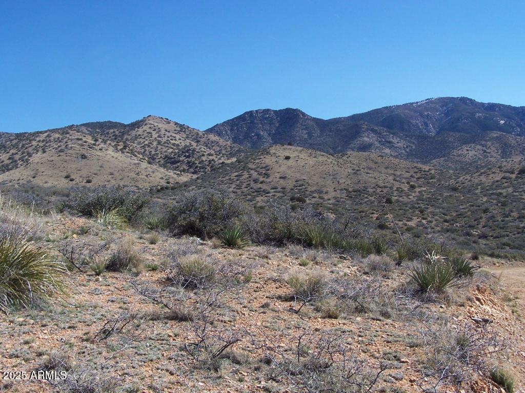 36.58ac W Four Feathers Loop Property Photo 1