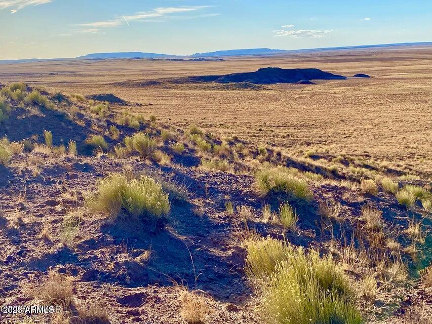 Carrizo Ranch Lot 297 41.17 Acres Property Photo
