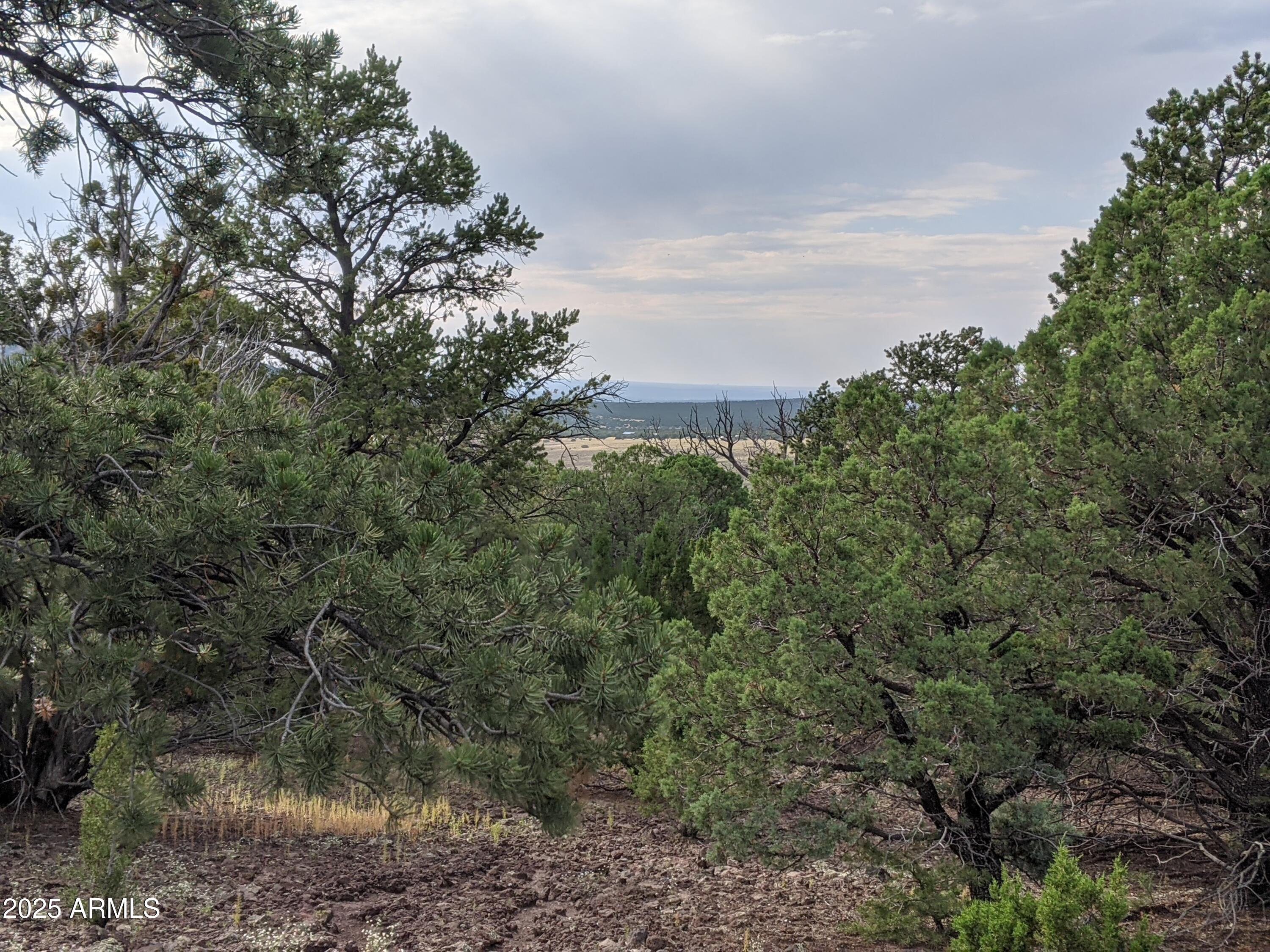 Lot 76 Dolly Drive Property Photo