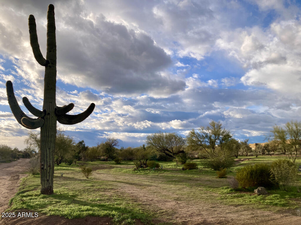 15966 E Jomax Road Property Photo 1
