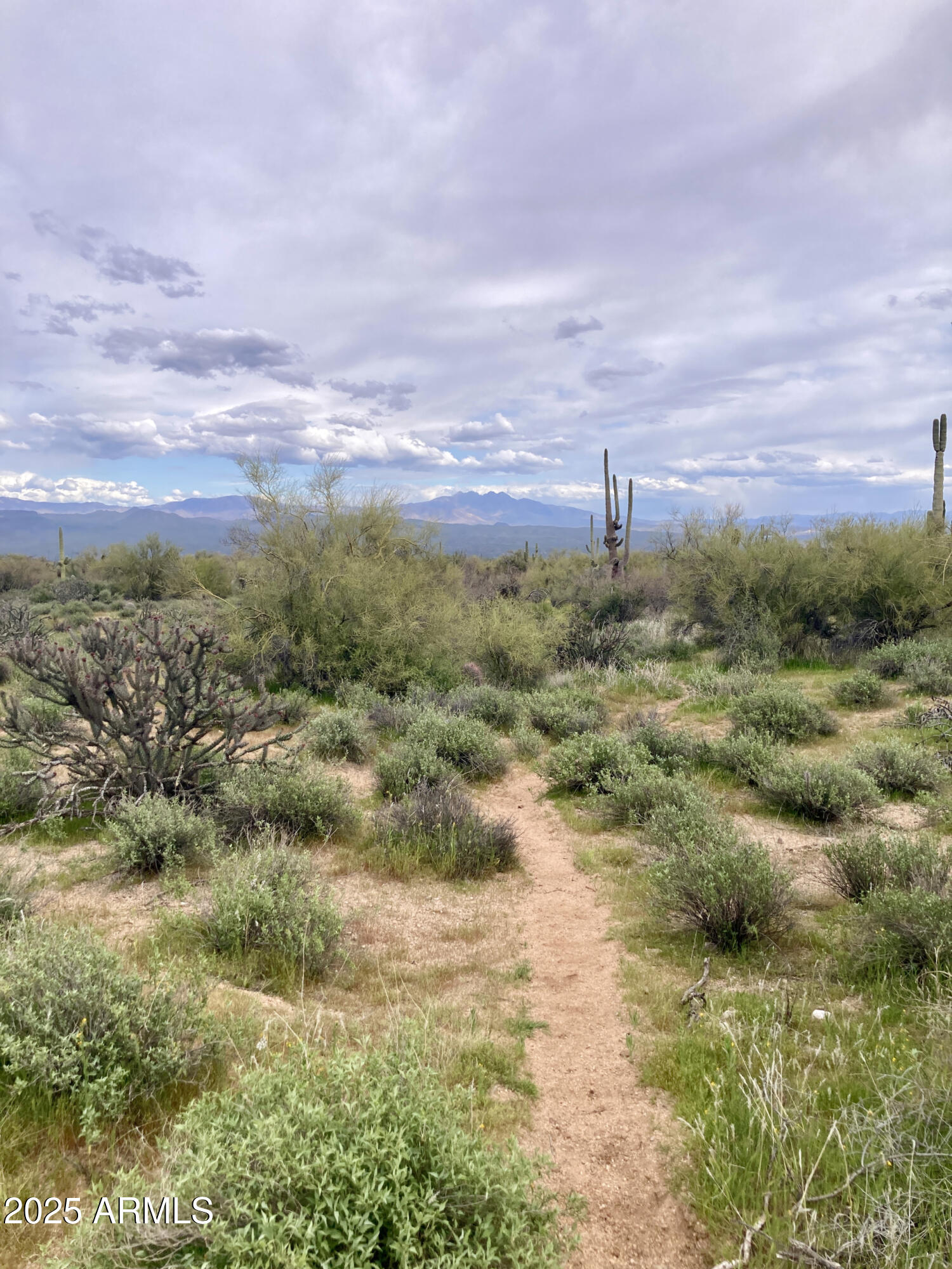 15966 E Jomax Road Property Photo 10