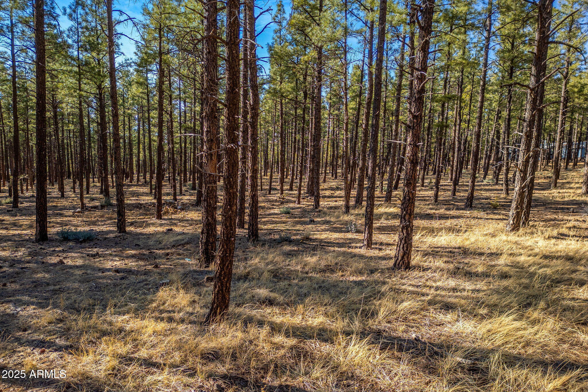 Tbd Wilderness Drive Property Photo 1
