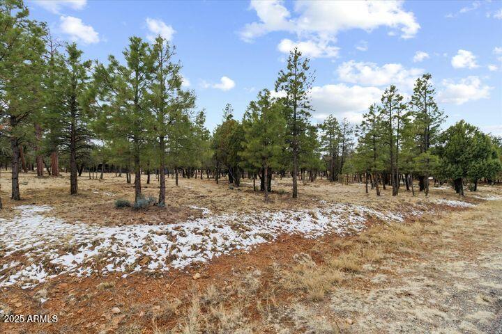 4995 Starlight Drive Property Photo
