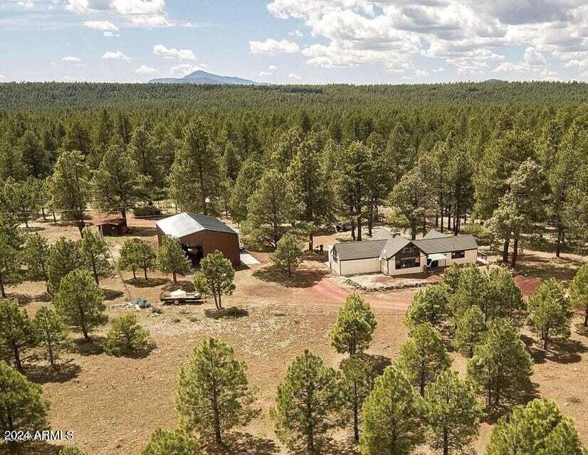 252 S Forest Service 3341 Road Property Photo 1