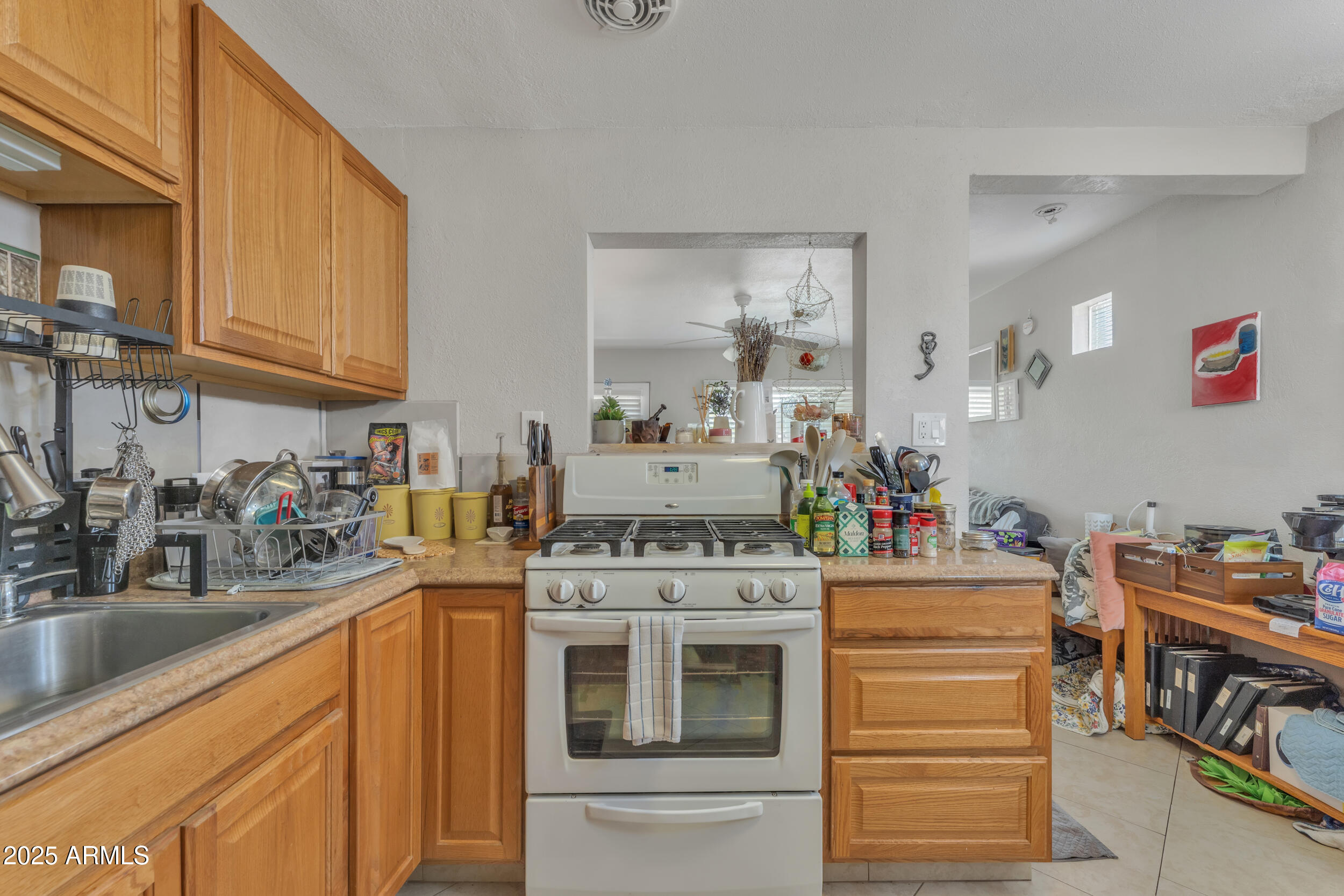 1024 E Mitchell Drive Property Photo 19
