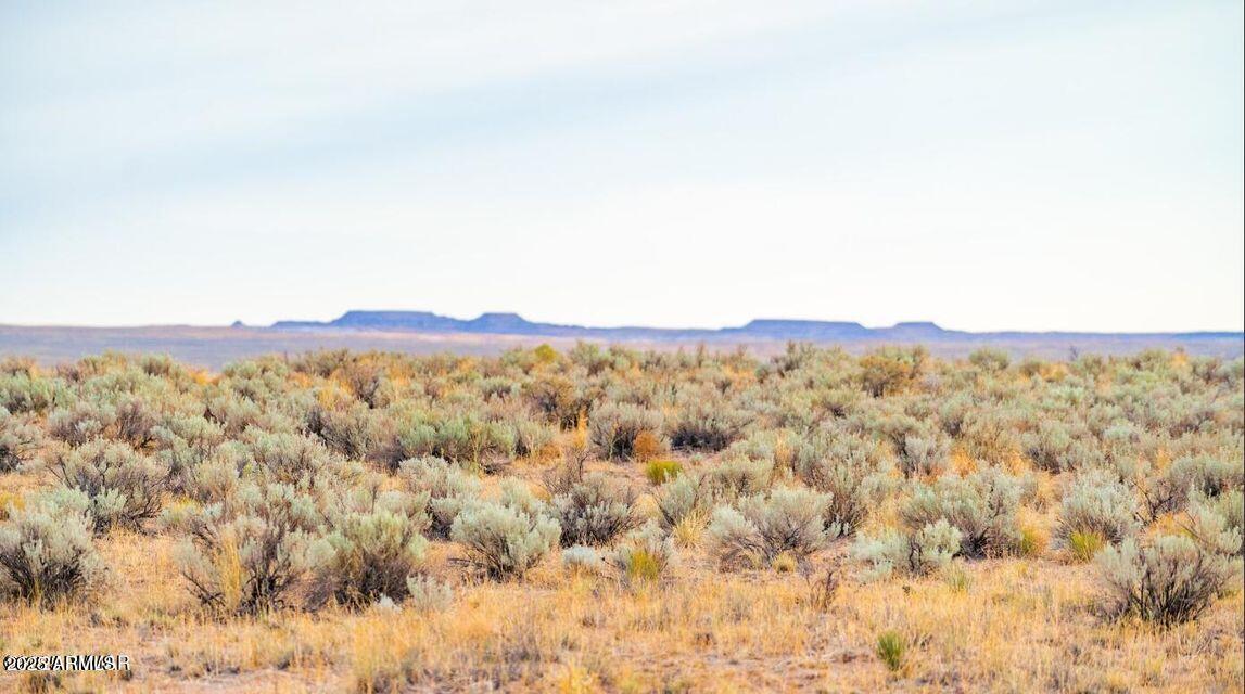 Tbd County Road N7012 40 Acres Property Photo 1