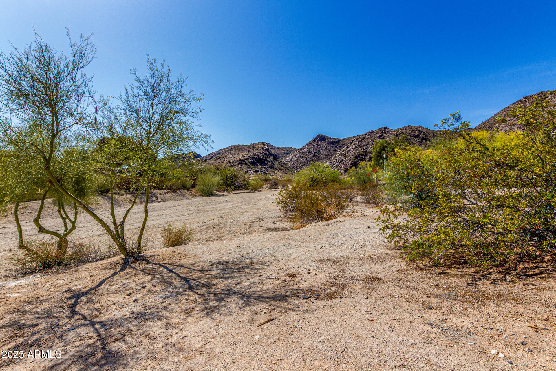 11827 S Montezuma Court Property Photo 100